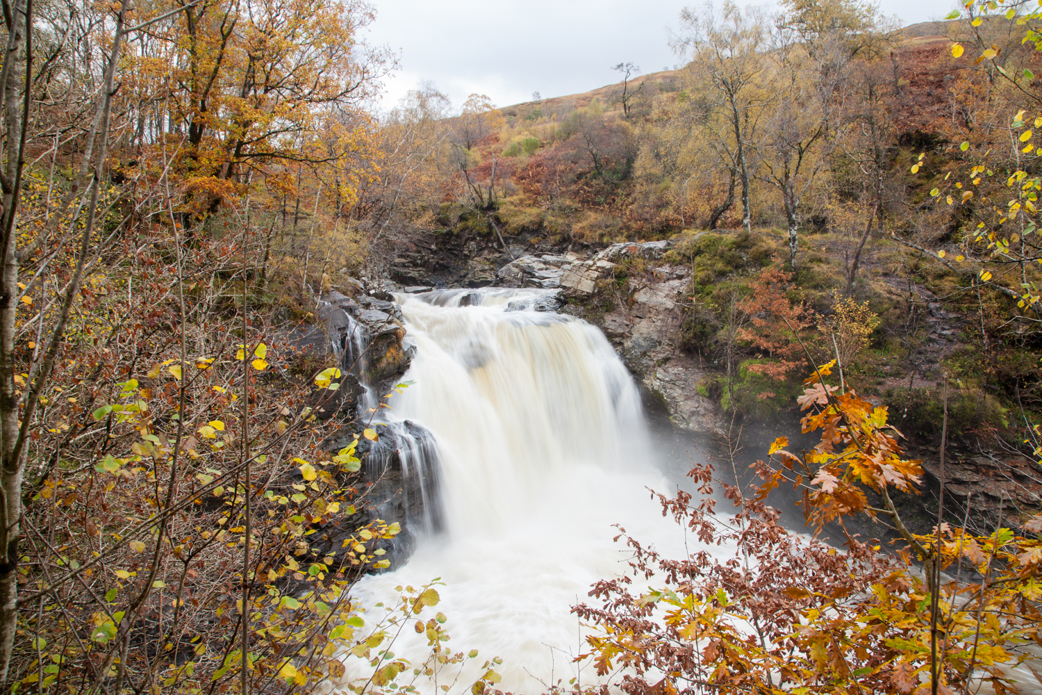 image_N7EHKCN3YYY2YDPC