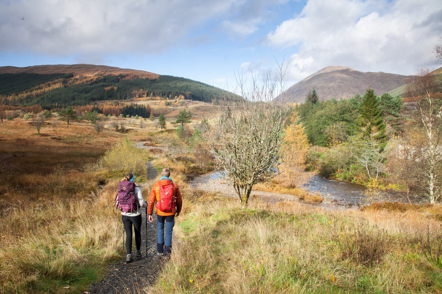 image_UR5GA4M7GDYWSJSF