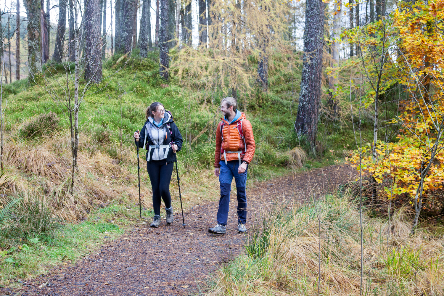 image_K9ACME3TRWYHMSXL