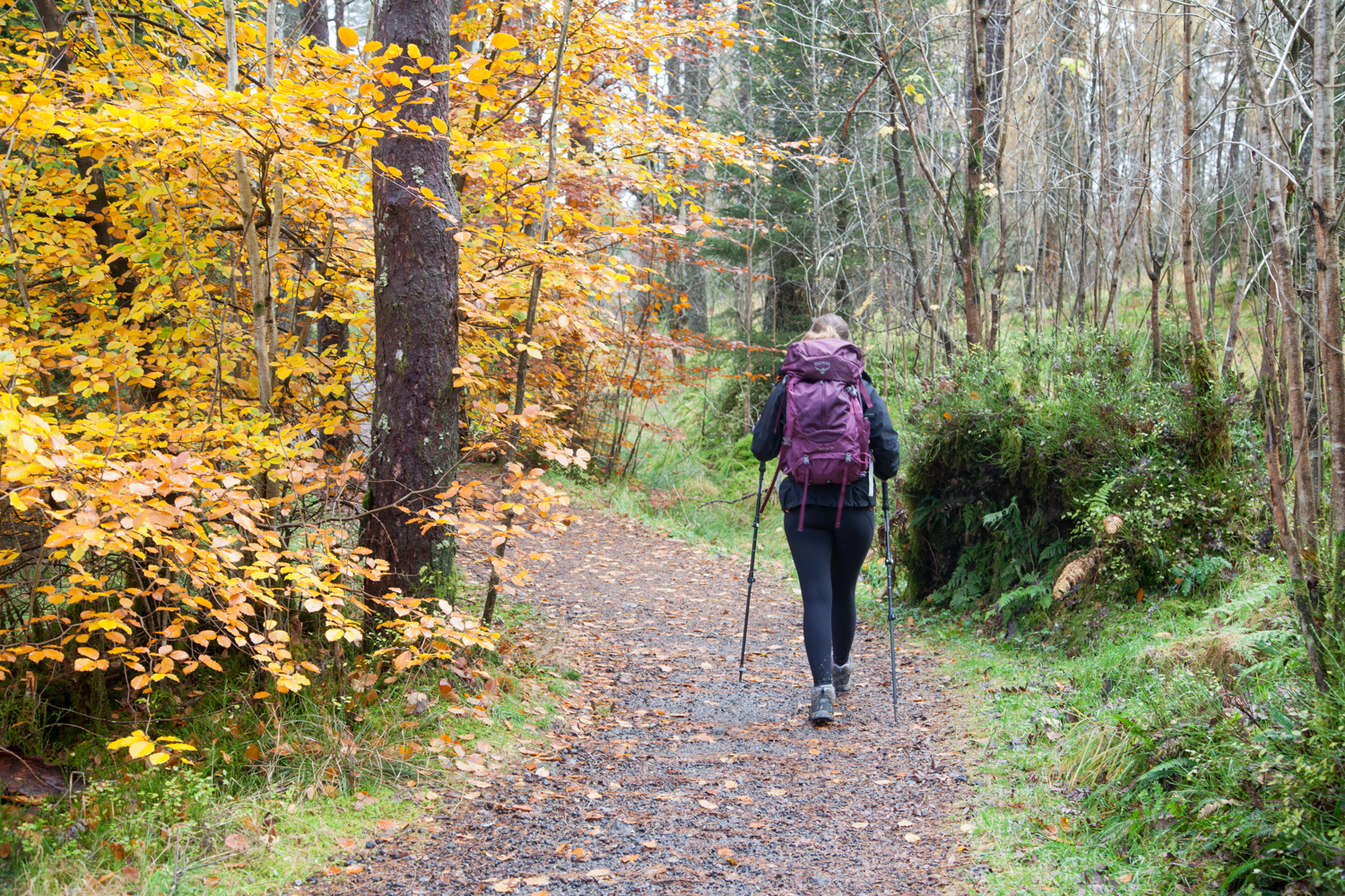 image_58W32Y8BXZ8RCTGU