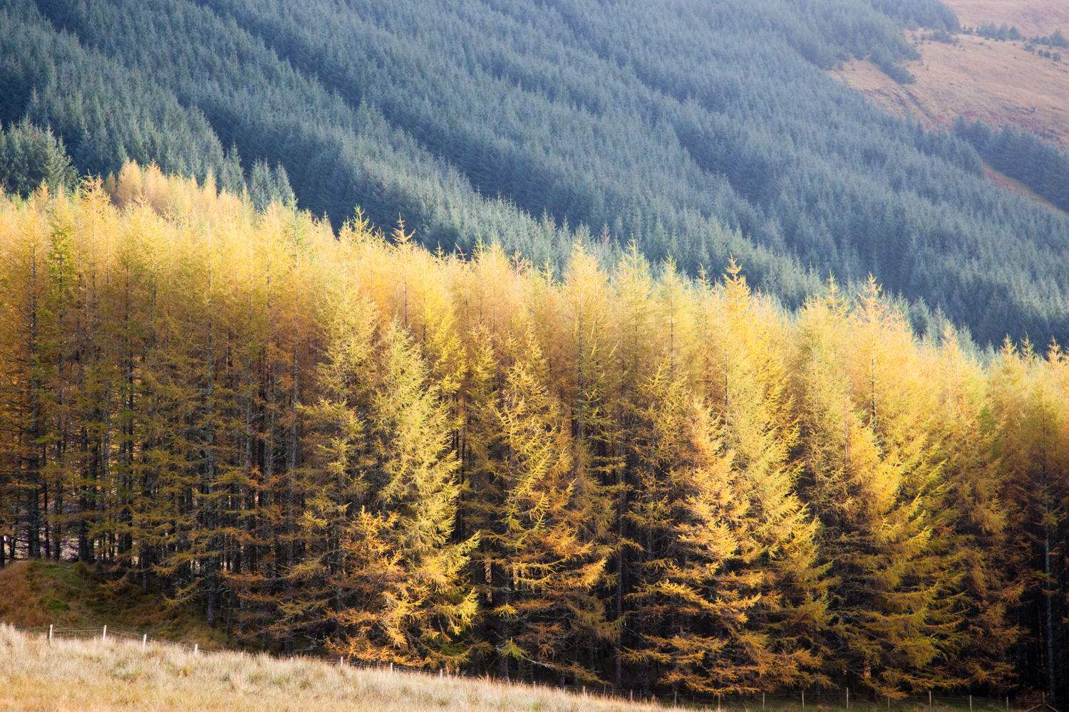 image_MF6GJUULDWTQ5GDQ