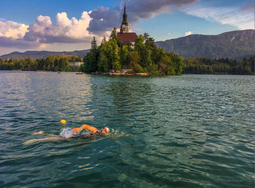 52cbb118-d5d2-4941-ac61-3896751aceeb