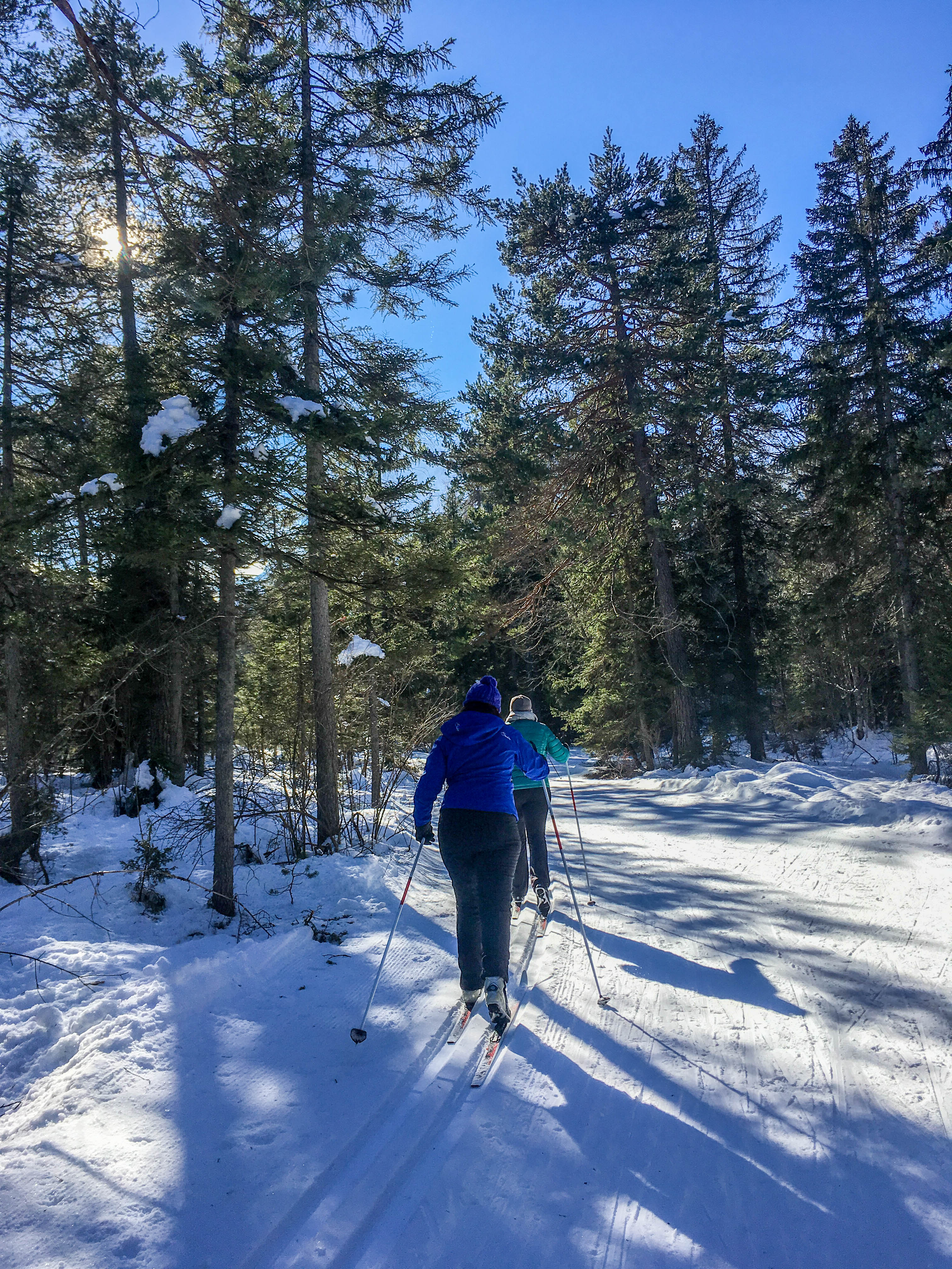 13de1bf8-b3d7-4666-9206-d0d977c0b377