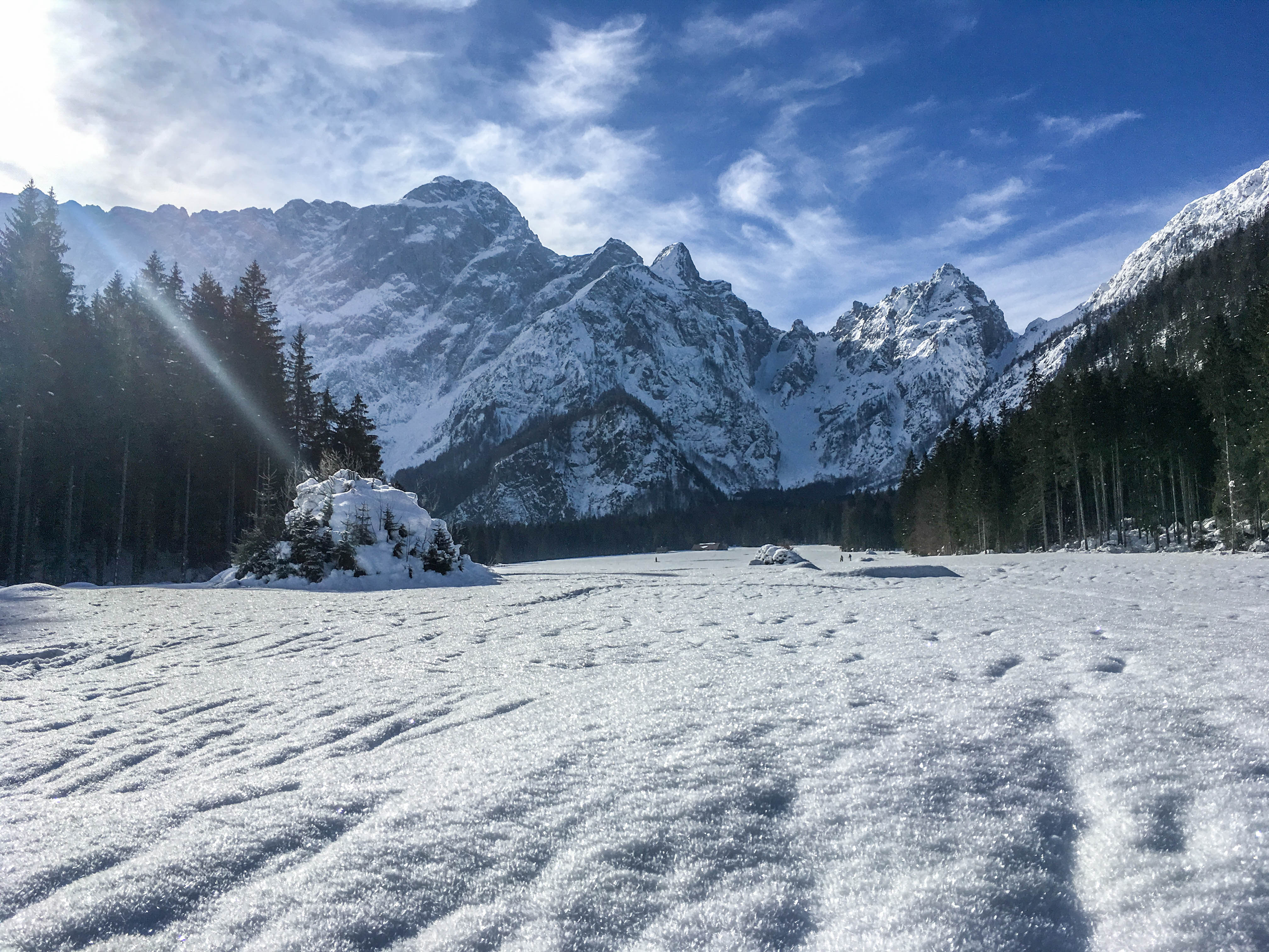 3fc206da-808b-4dc9-b51a-4e03d76cbe0b