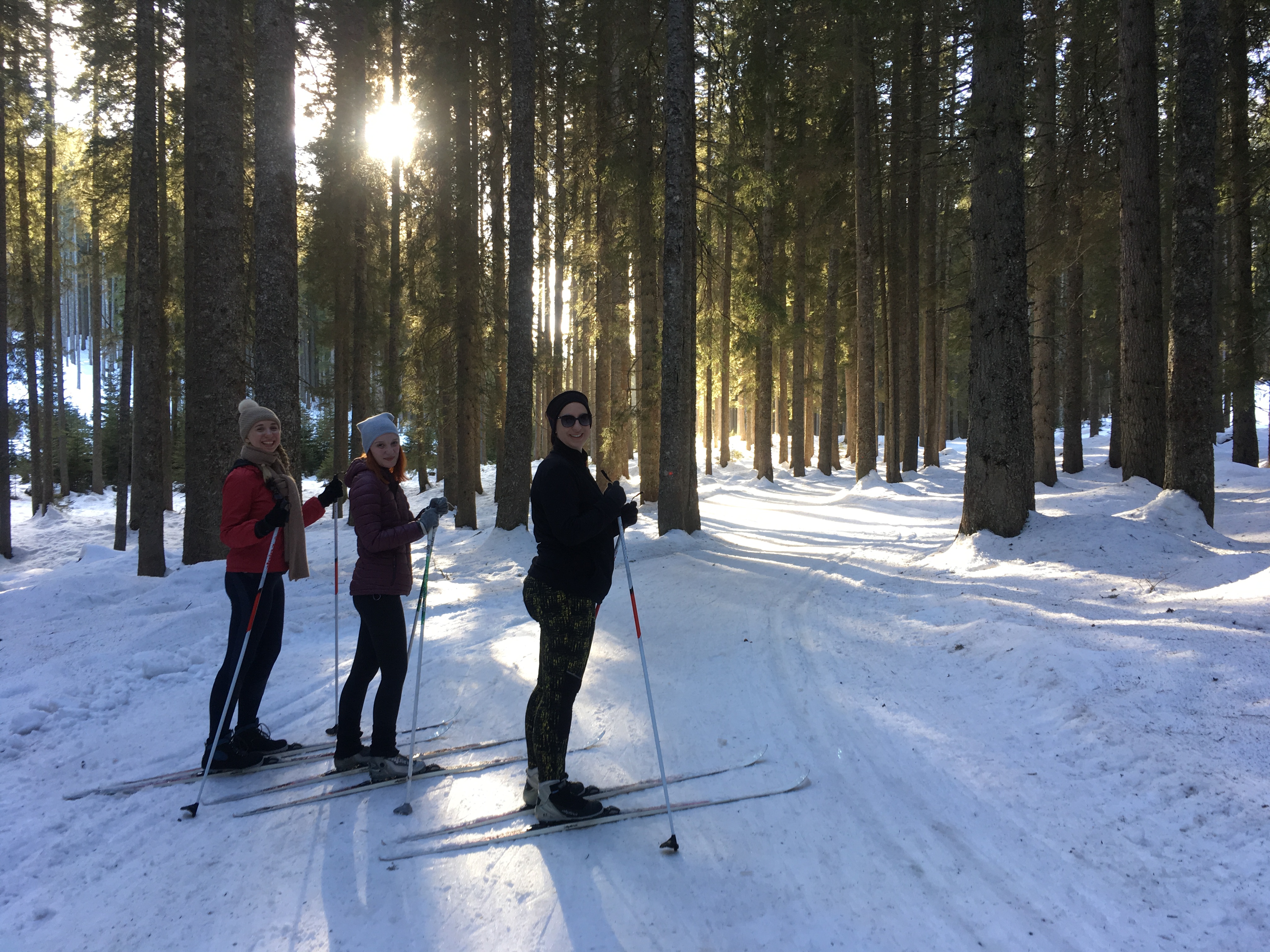 4ec9b8ce-75d2-403a-b6d8-68bfa6672f1d