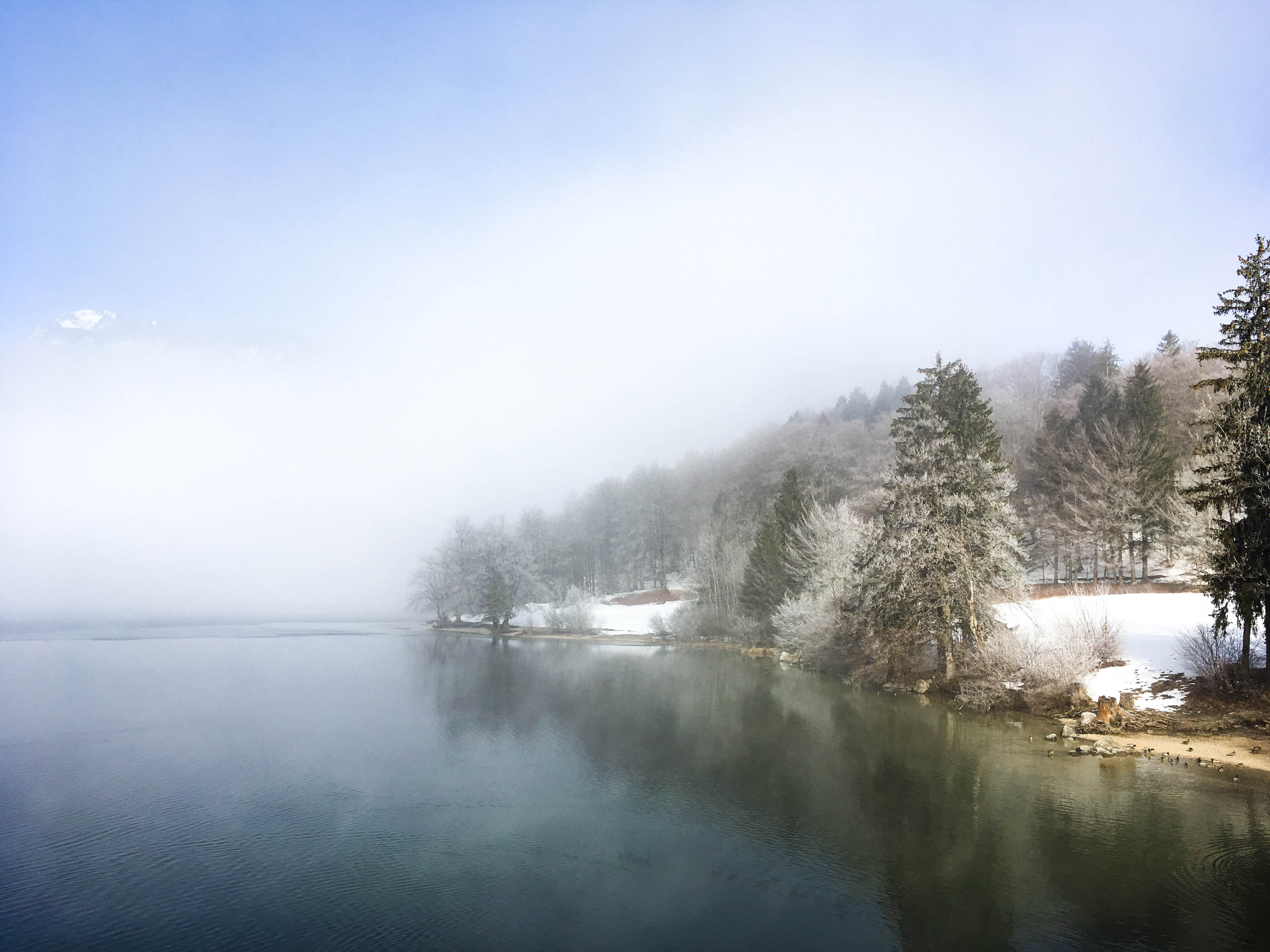 3590c276-5b05-48b5-a028-3ec3ecf72cae