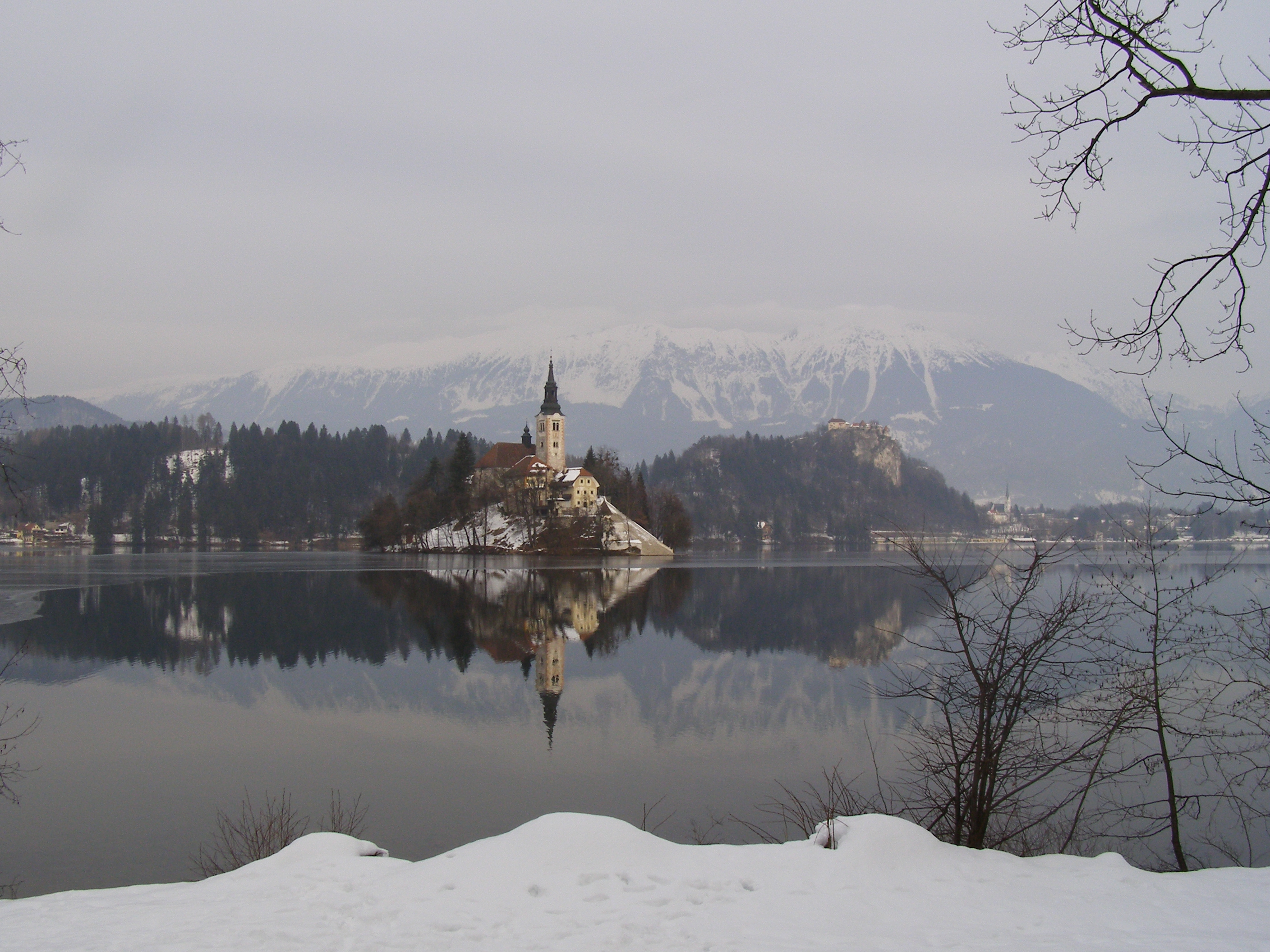 c702ac59-19d8-408b-824e-1c4efad1aca1