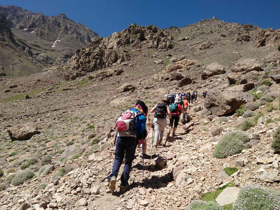 image_B7GDL2WC4EUBK3Y2