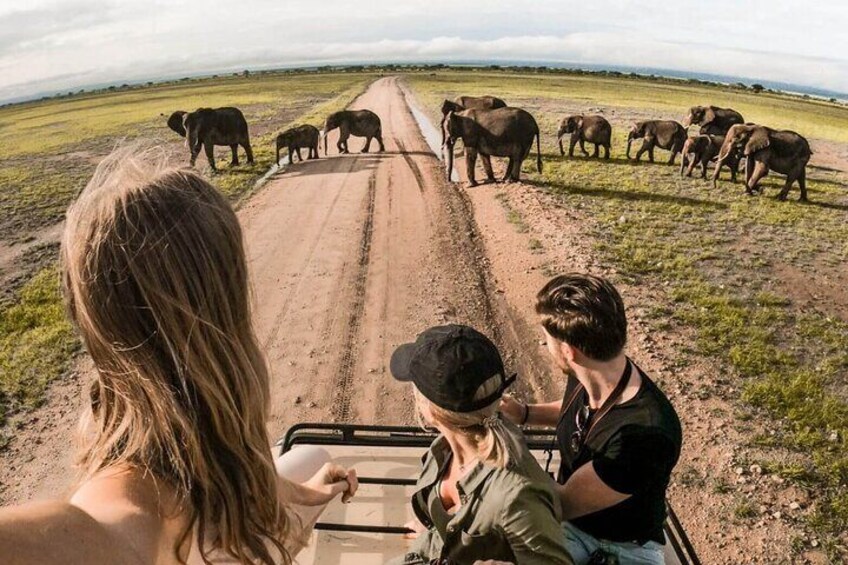 image_L2BEW3DK2ZSZQH7U