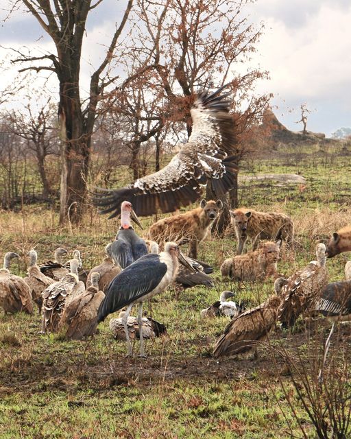 image_4TGHY45JHQ57VDSB