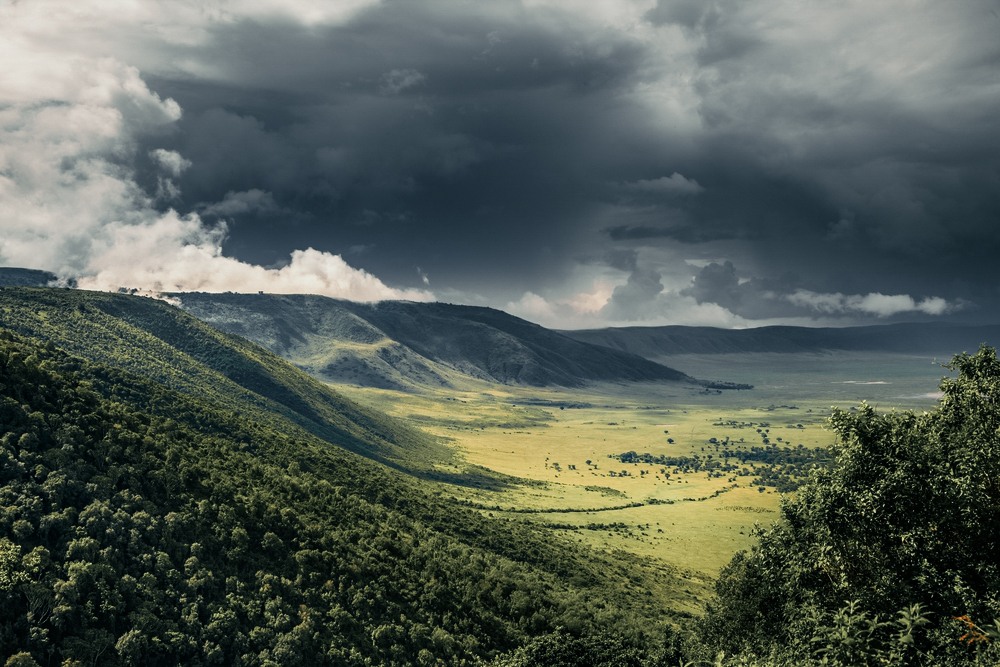 image_97EHNQMHZSNRUVHJ