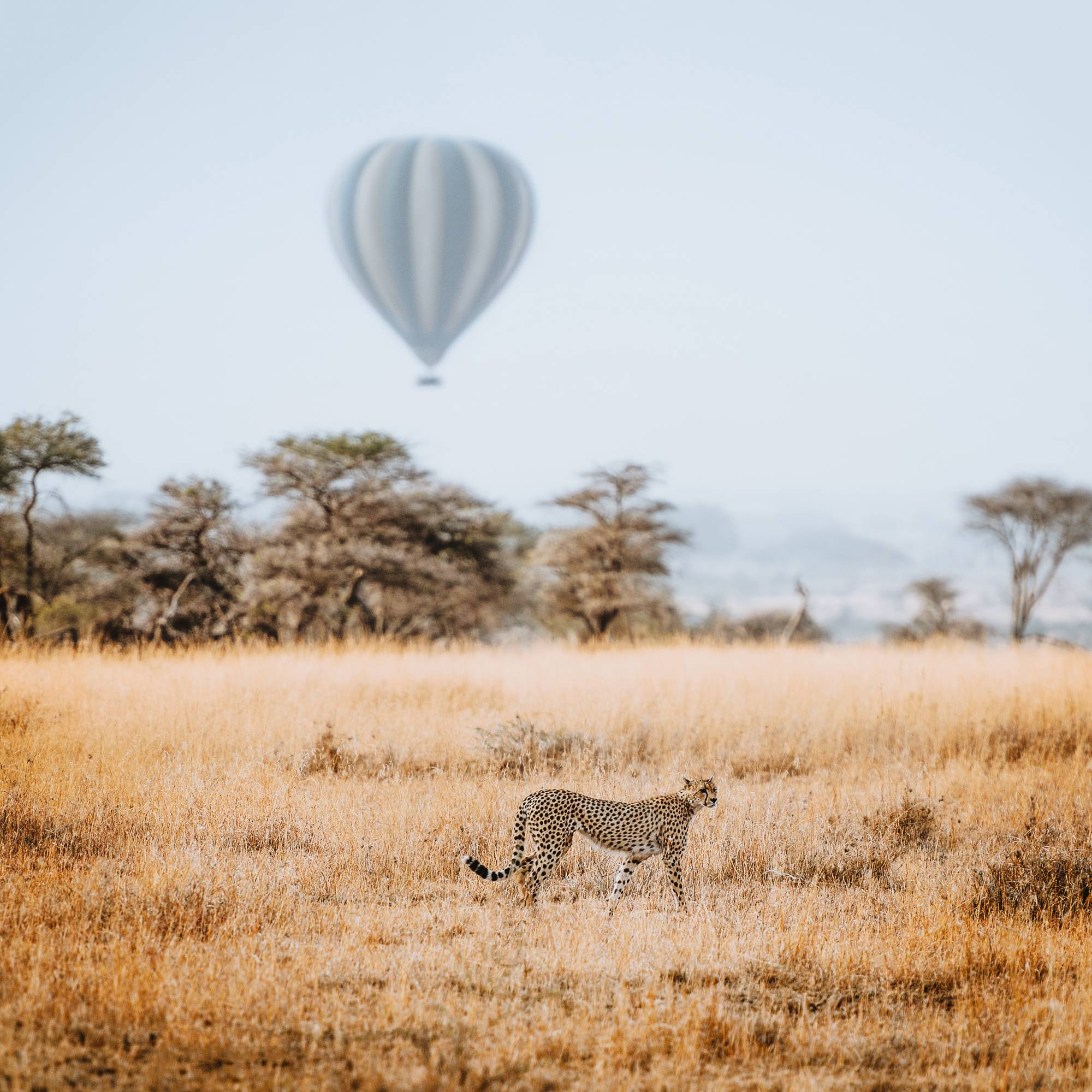 image_NM7KWDGAB4ZSGJY2