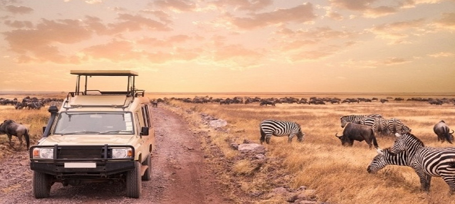 image_XS73866NL3FDF5R4