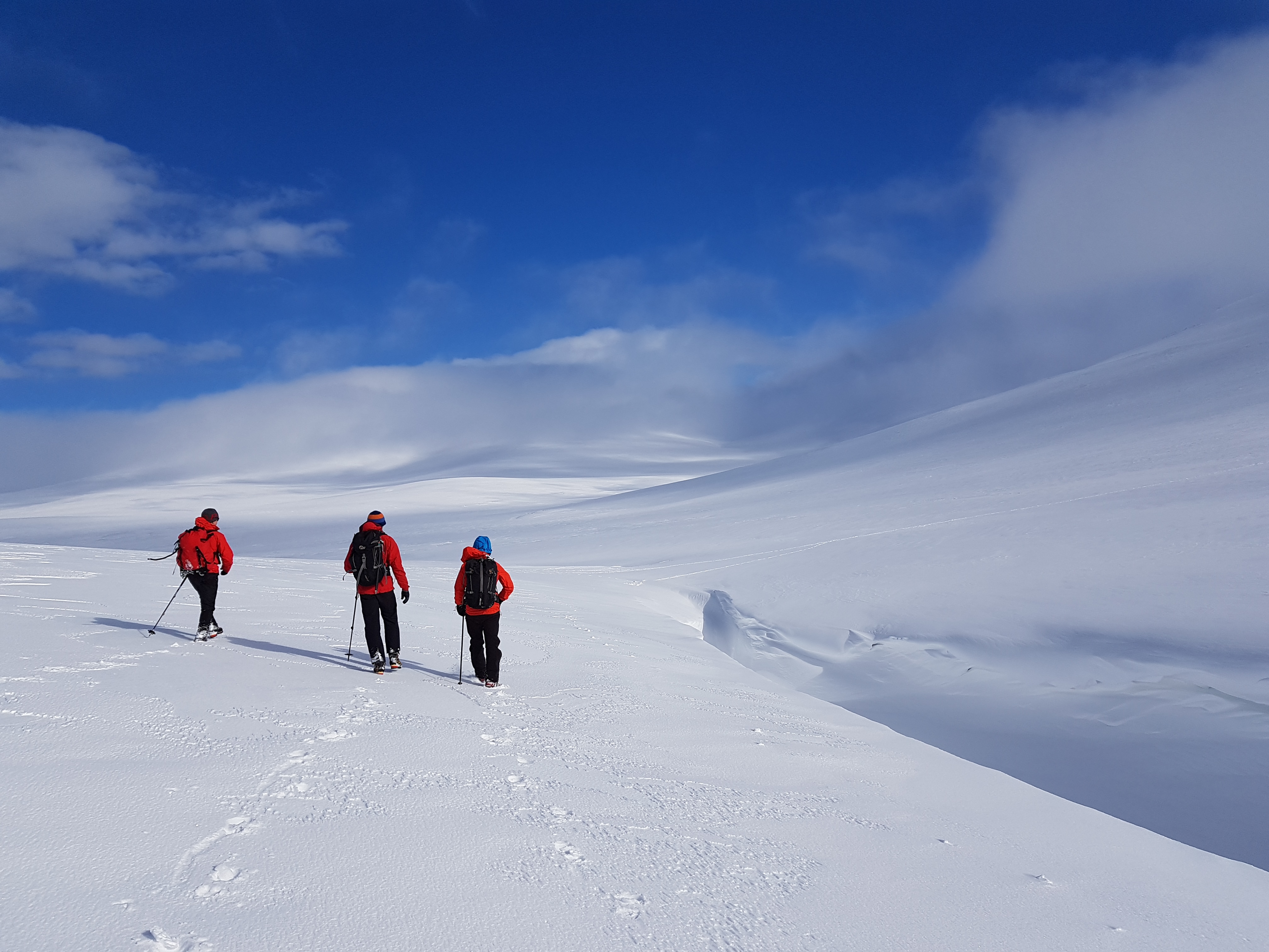 image_6G2PTUSF8YMN9S7B