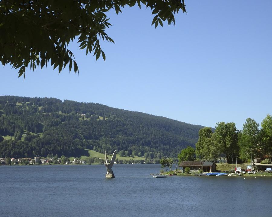 image_Q9E8KS3Y59GHDBMM