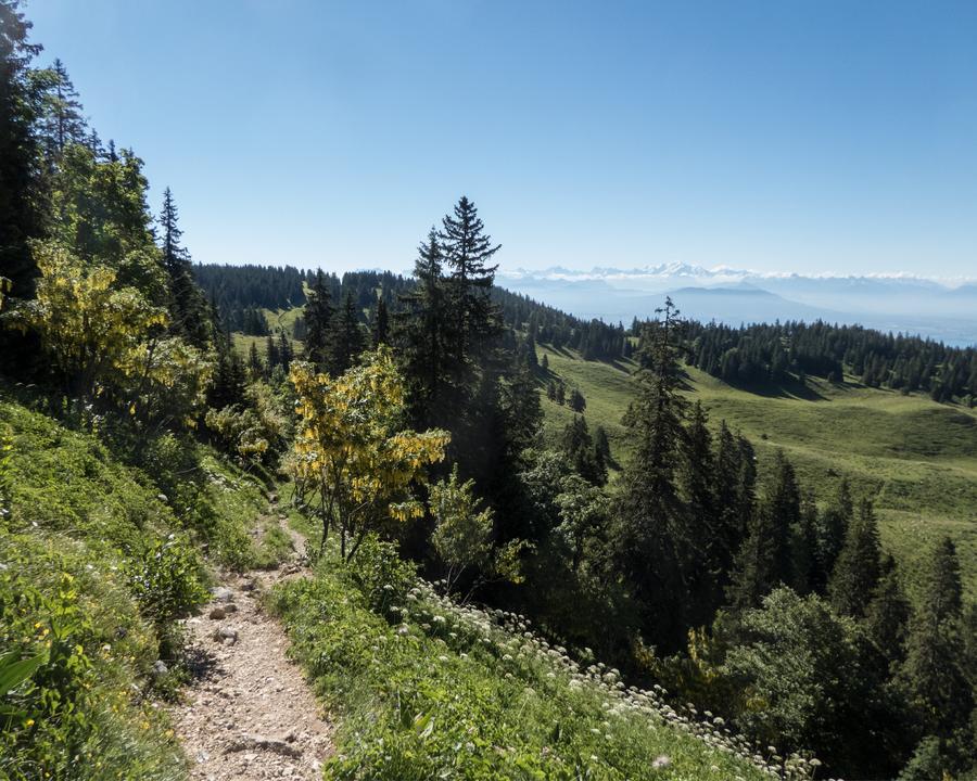 image_3RE243HKE3R2HLS9