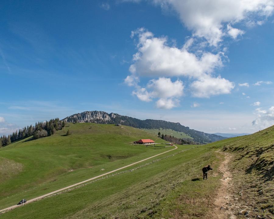 image_CGGE7BFA7YM2RLFD