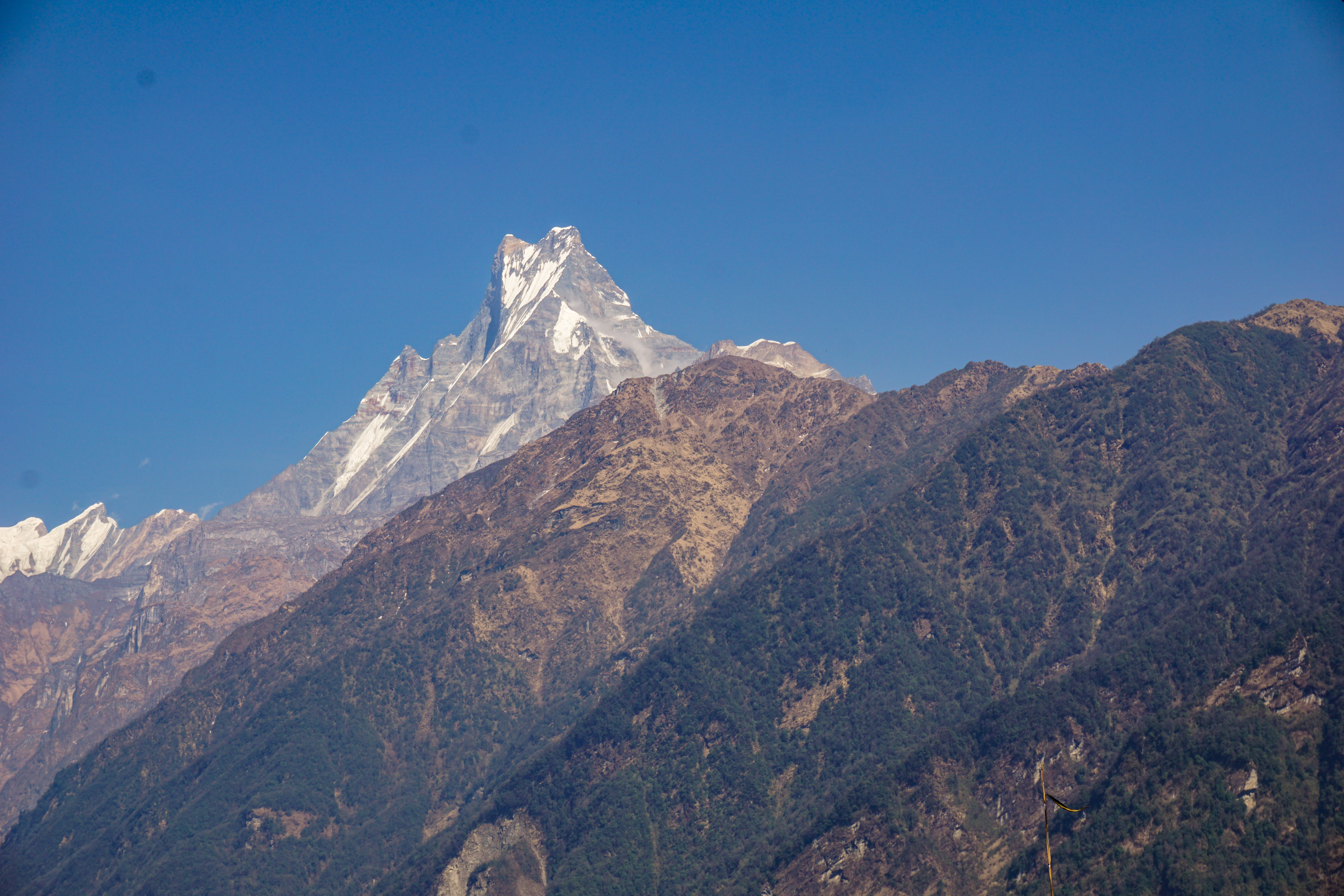 image_PNGVX7SJYQBN8JTB