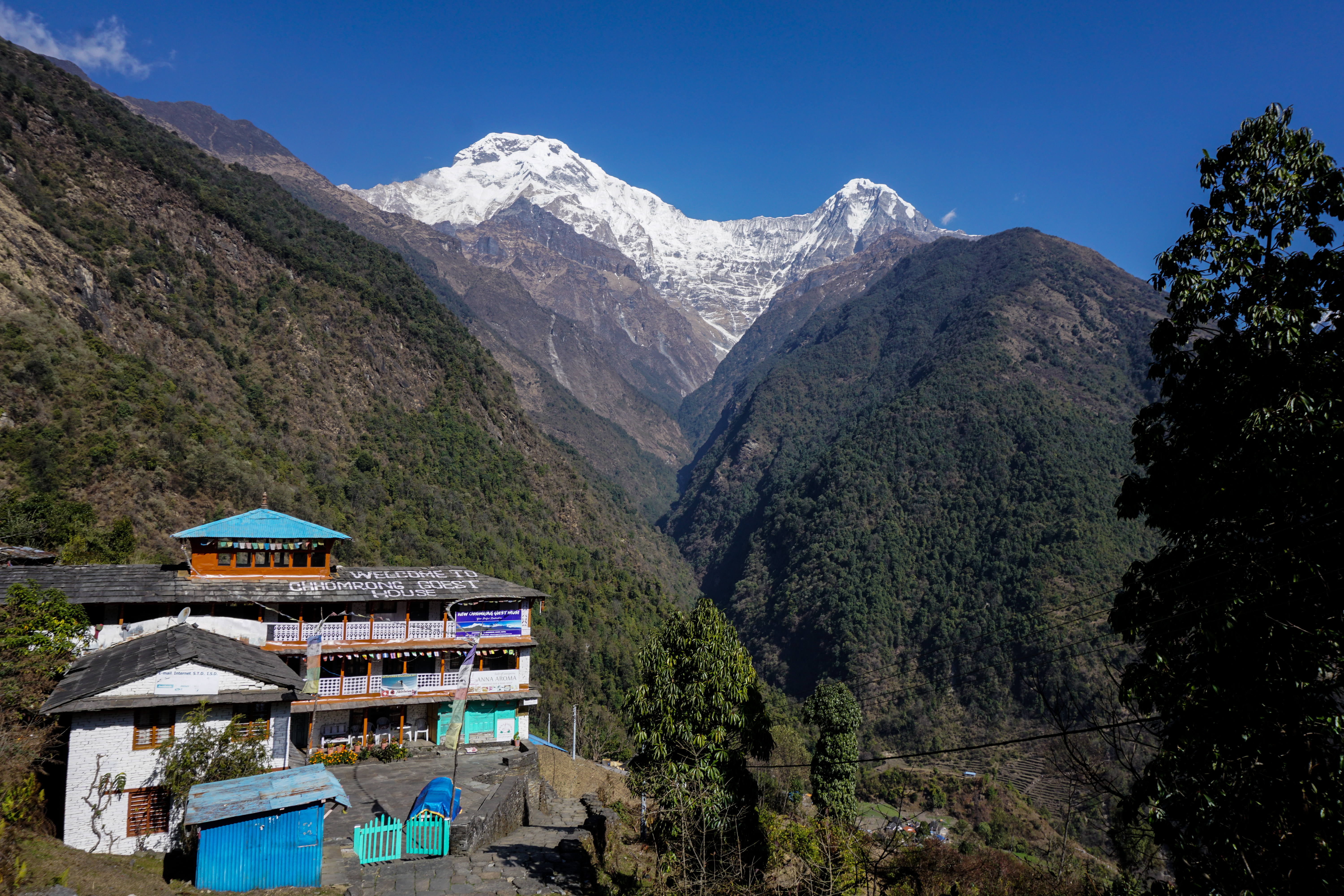 image_9VWXRC7TP98ELRGR