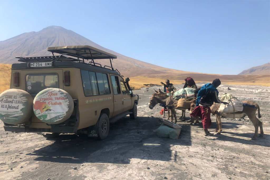 image_MWCQCPA9HECZ36Z4