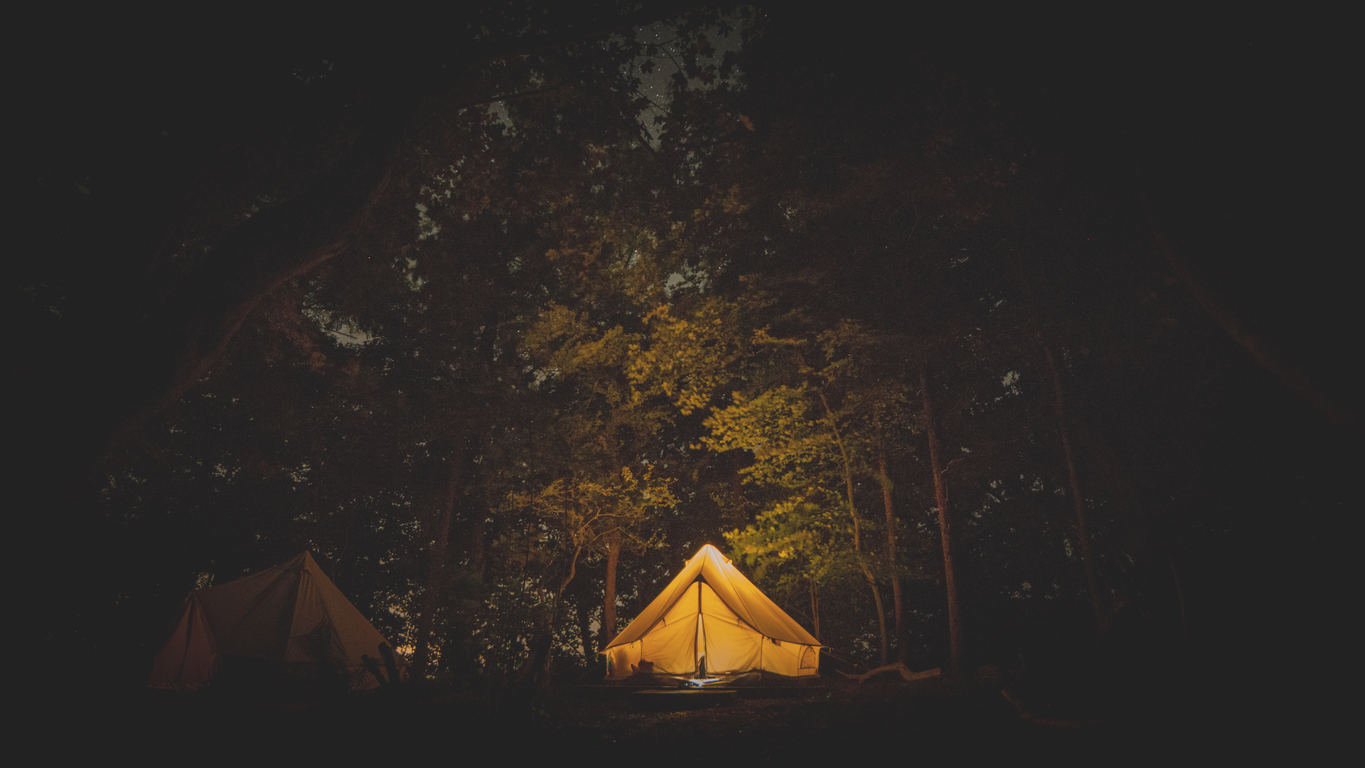 image_YVKN2RXP5KAD7LTU