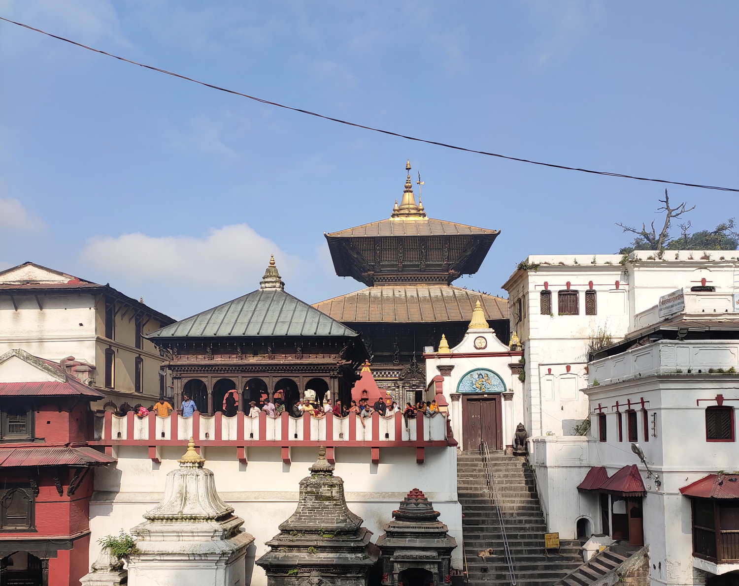 image_AG56JQ9HL6C7WMPW