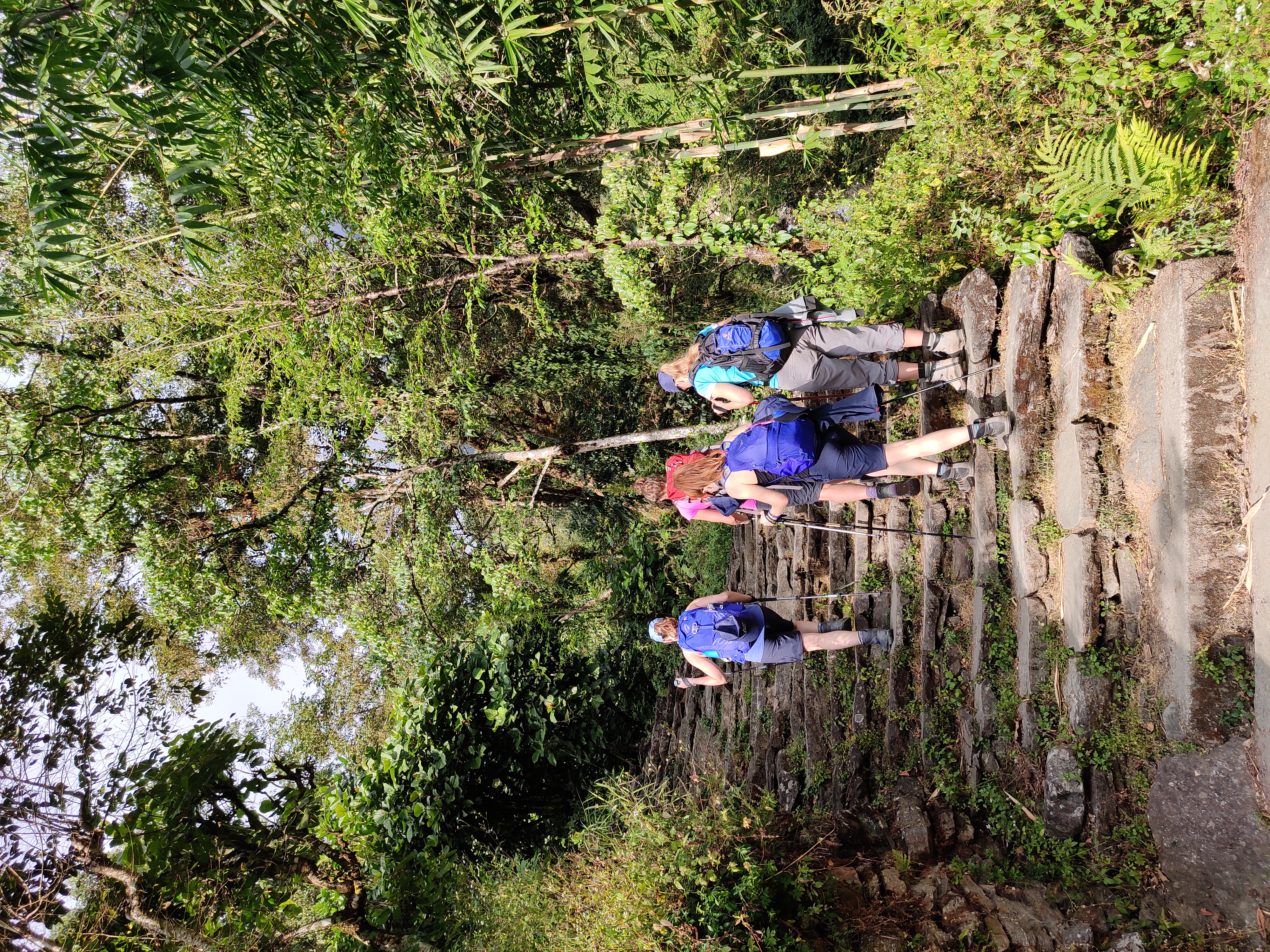 image_26LQW9CDZT9YQ5QF