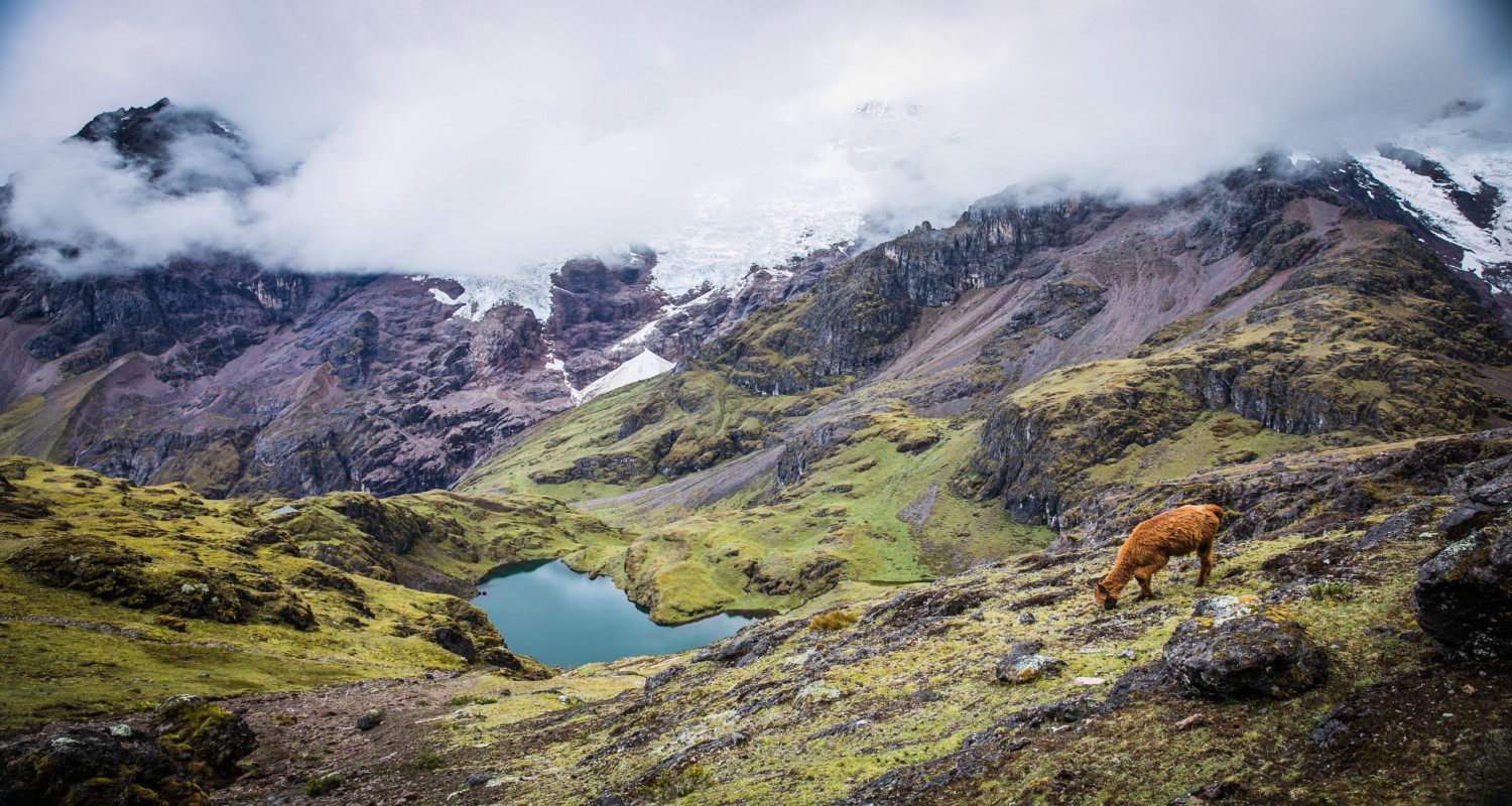 image_UE4STAF9E3AUFF4N