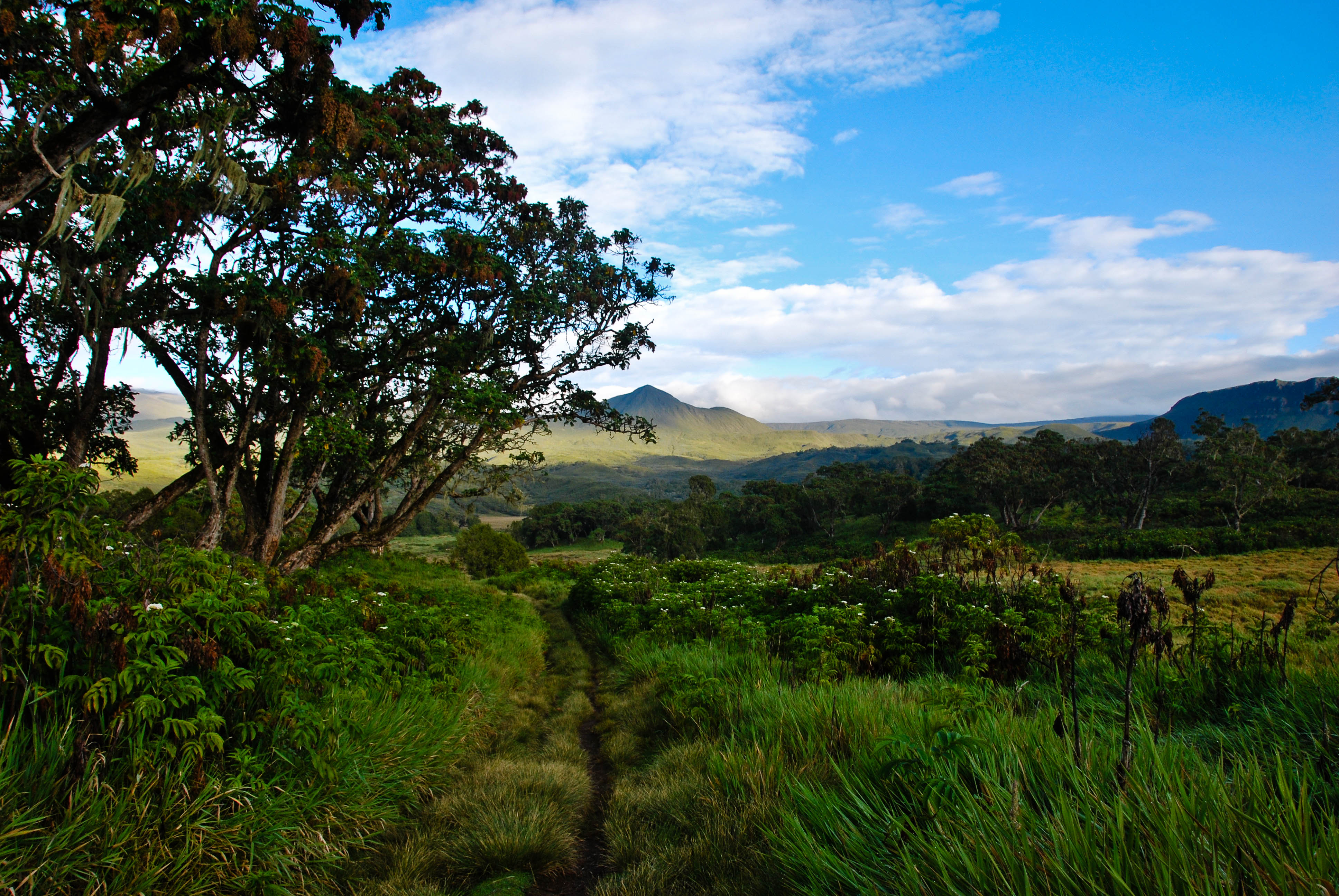 dfc3c65c-b5de-4ed9-b220-976948039772