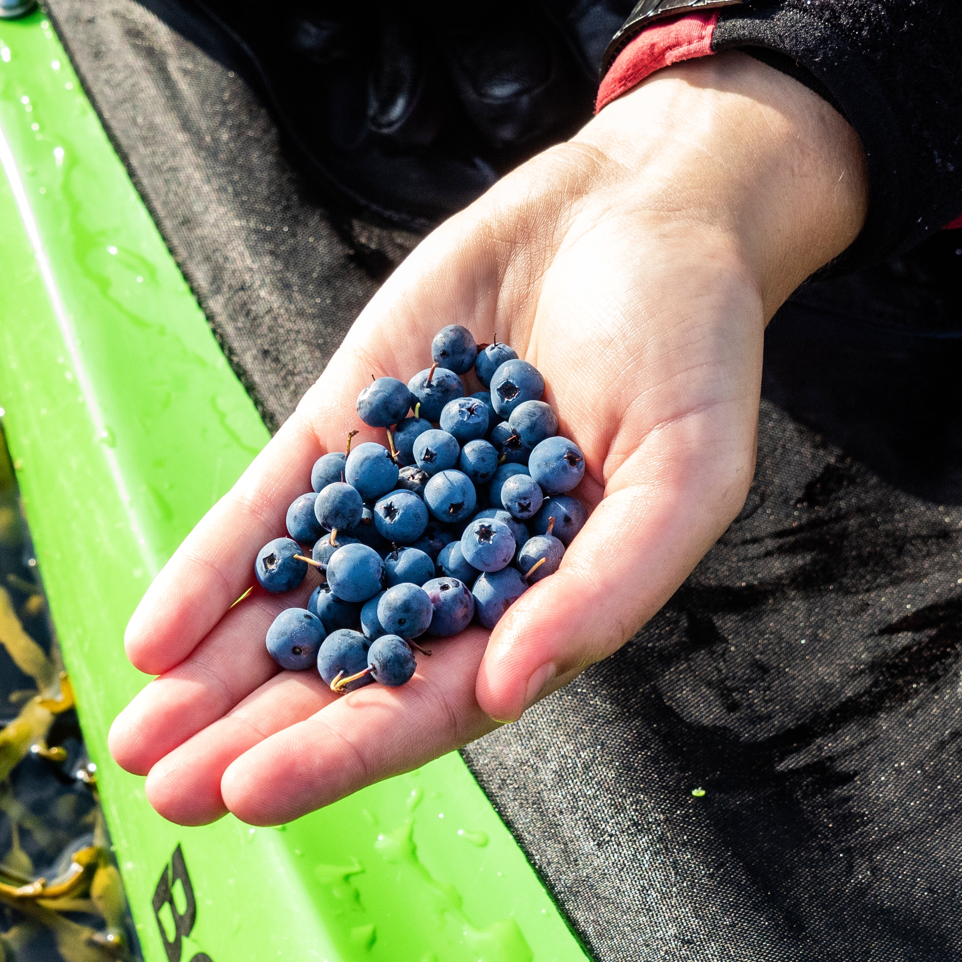 image_FXHVUARSBQ2LSZHD