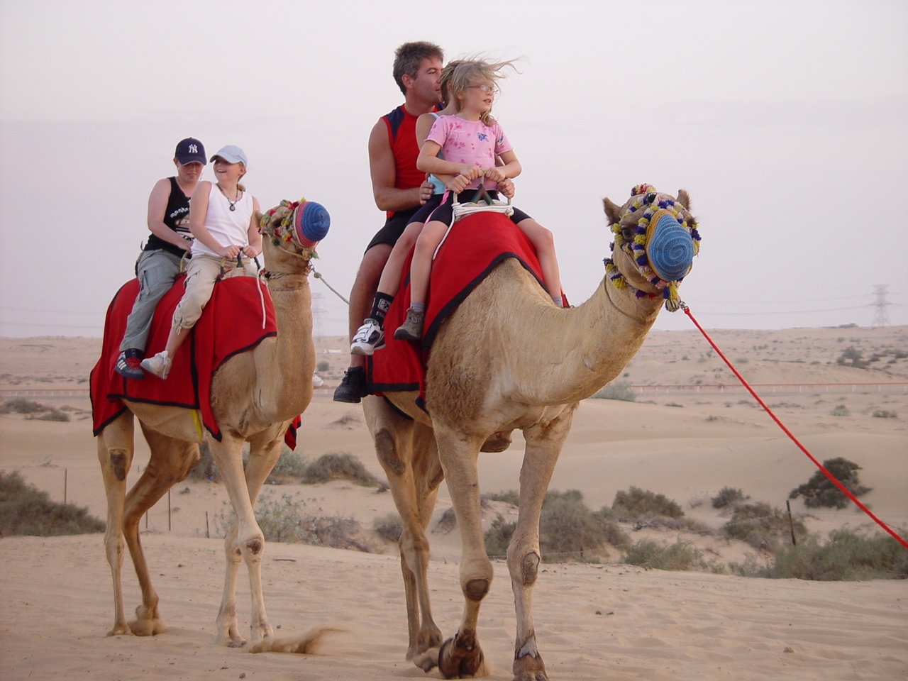 bb983f1b-2f3a-4453-b921-514364f94421