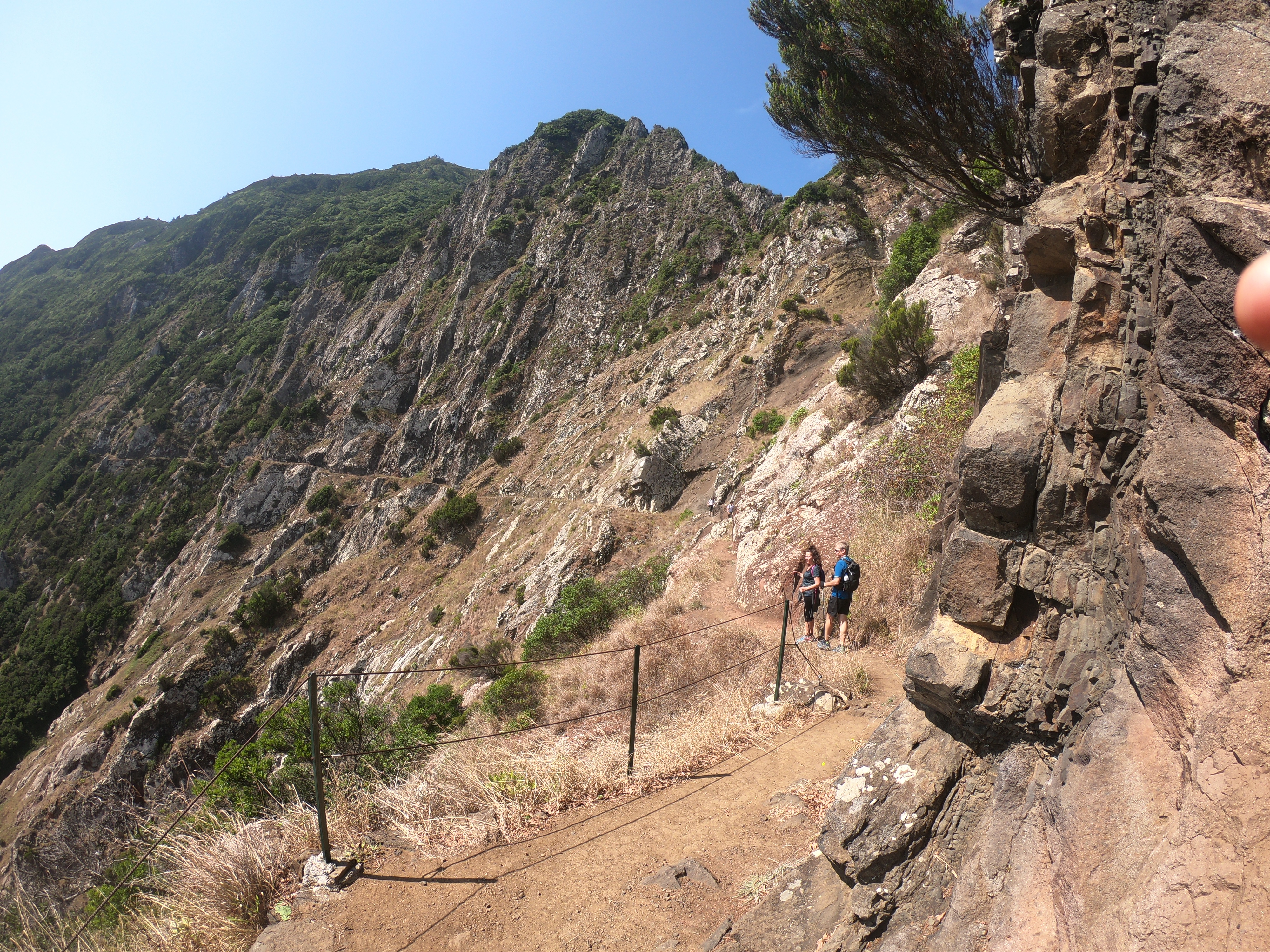 image_JMJF44K6TU8XTRDB