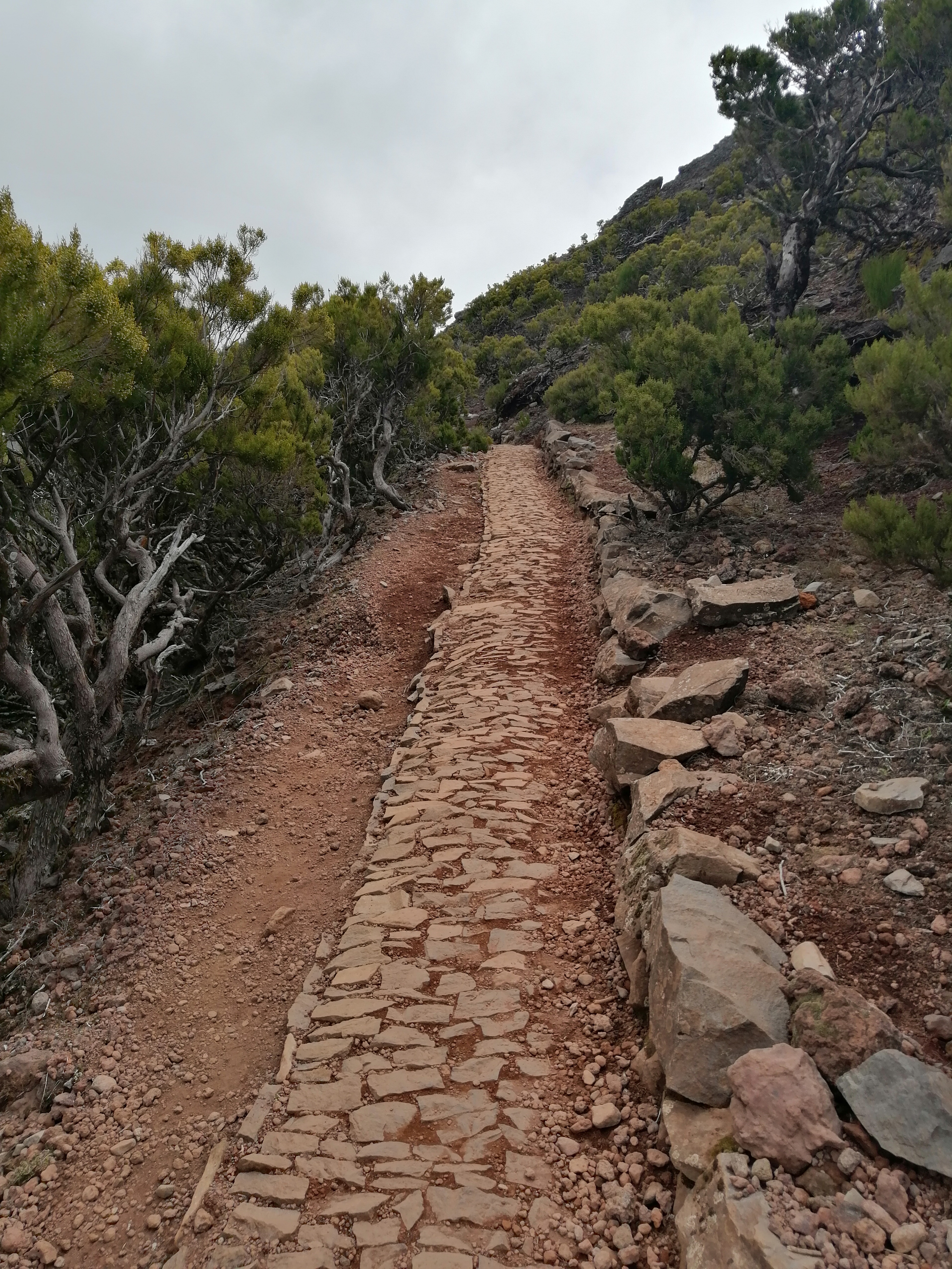 image_WRL88B3RT3RZDCU4