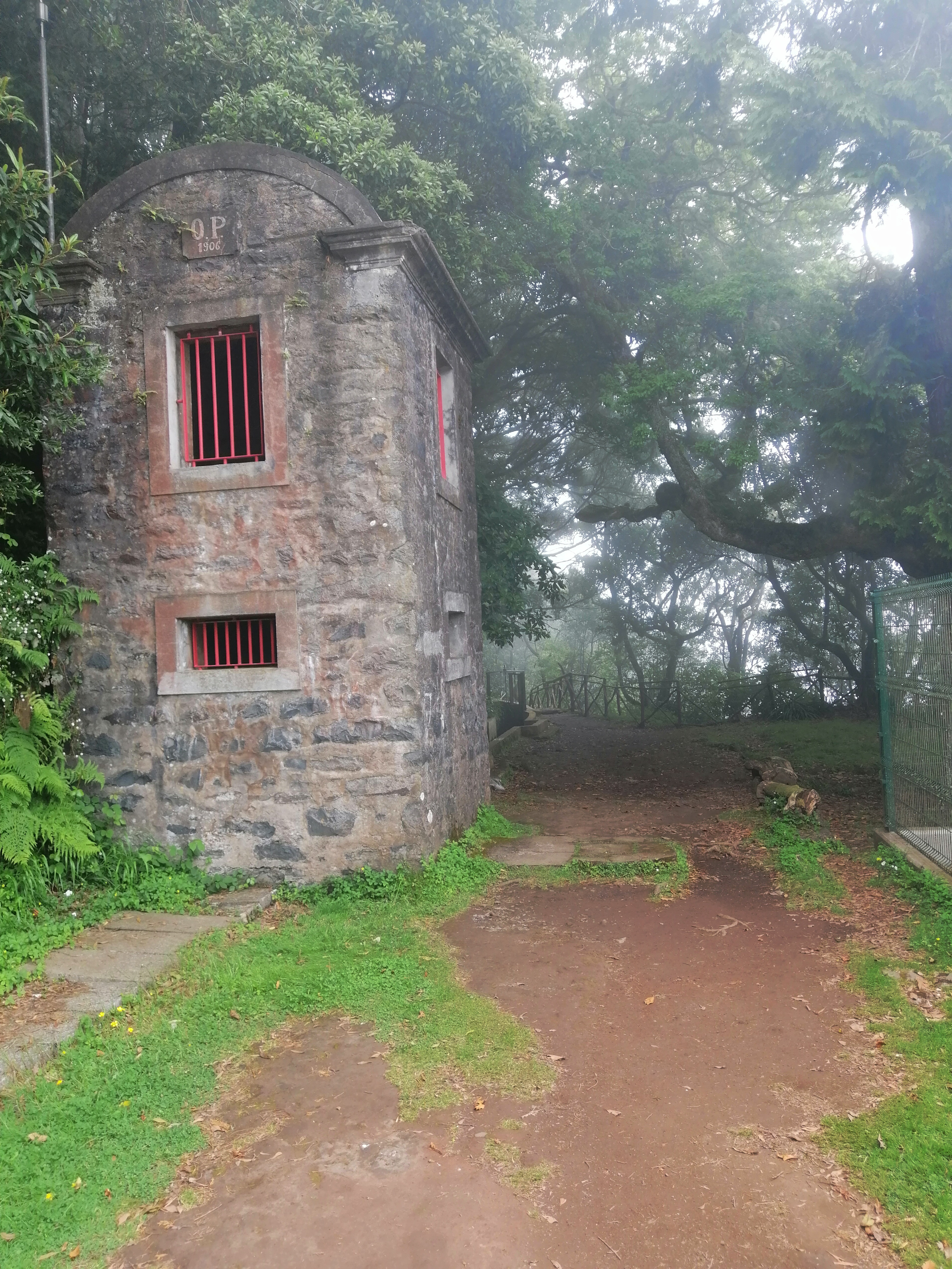 image_5P4YJYS85R9LP8G8