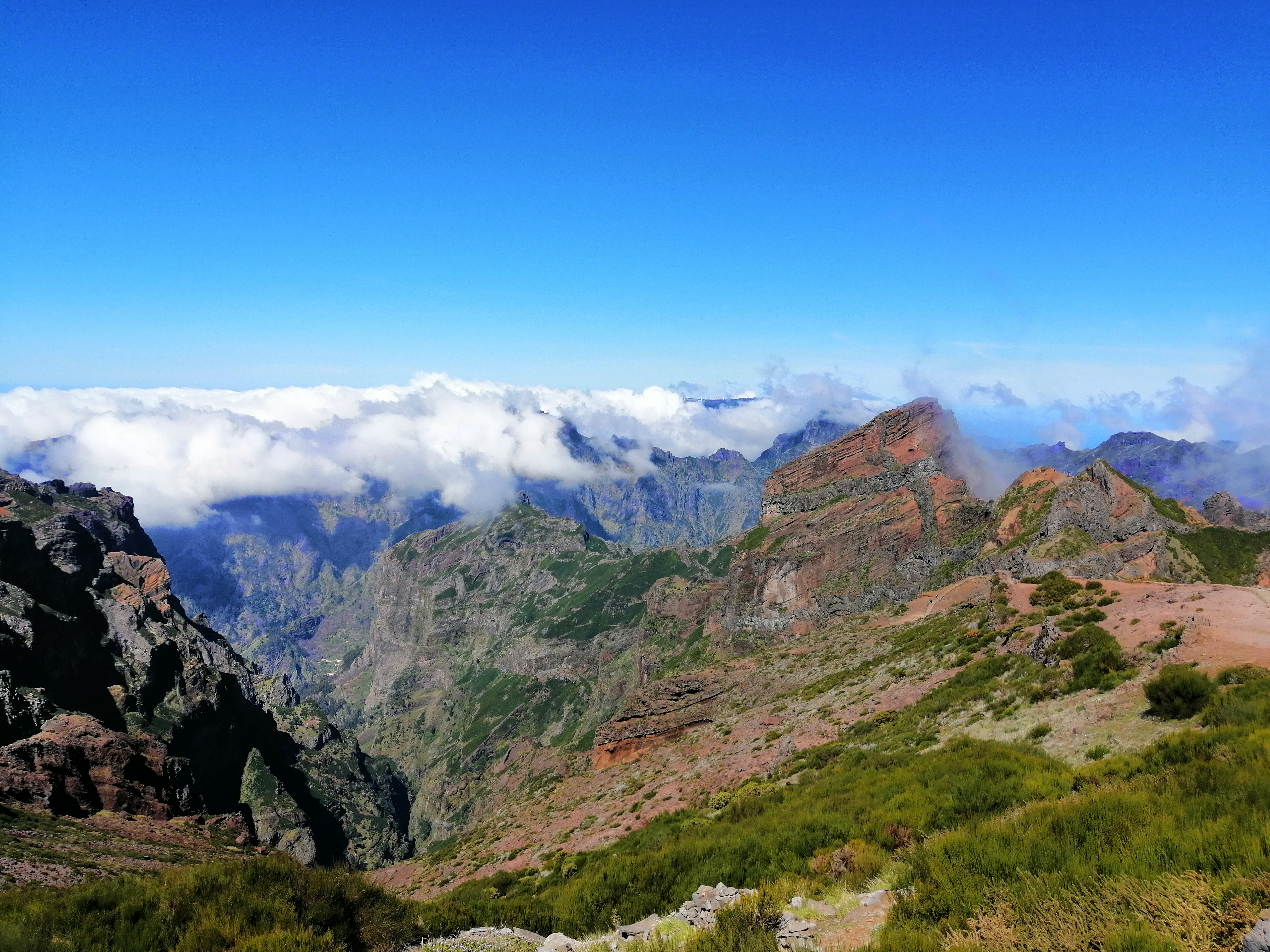 image_3EPNBYEF2QAM5NZD