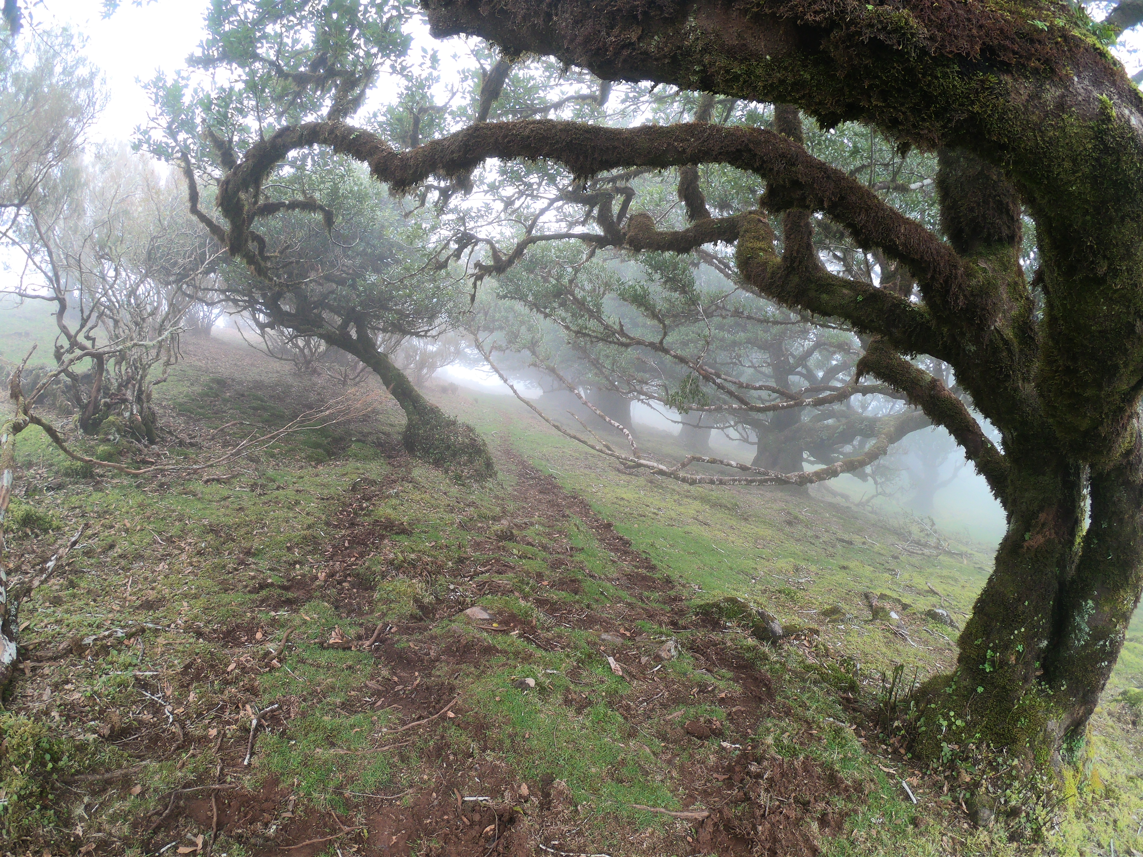 image_UPZQ5NGLA9F2465Q