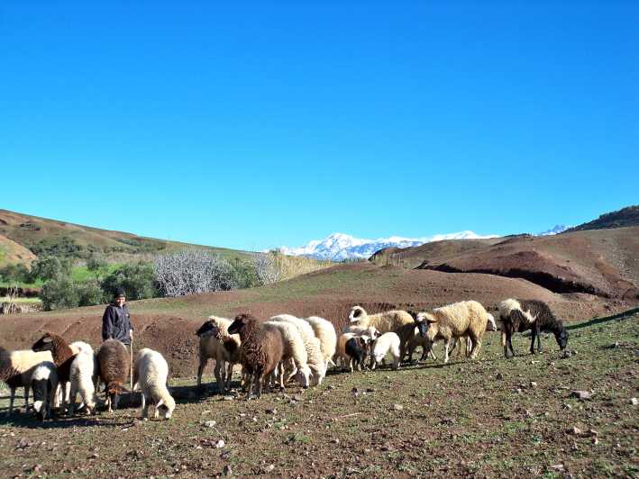 image_XBL9BCHTWVBDJS7S