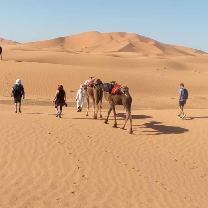 image_CSCAQKSX52JB26LL