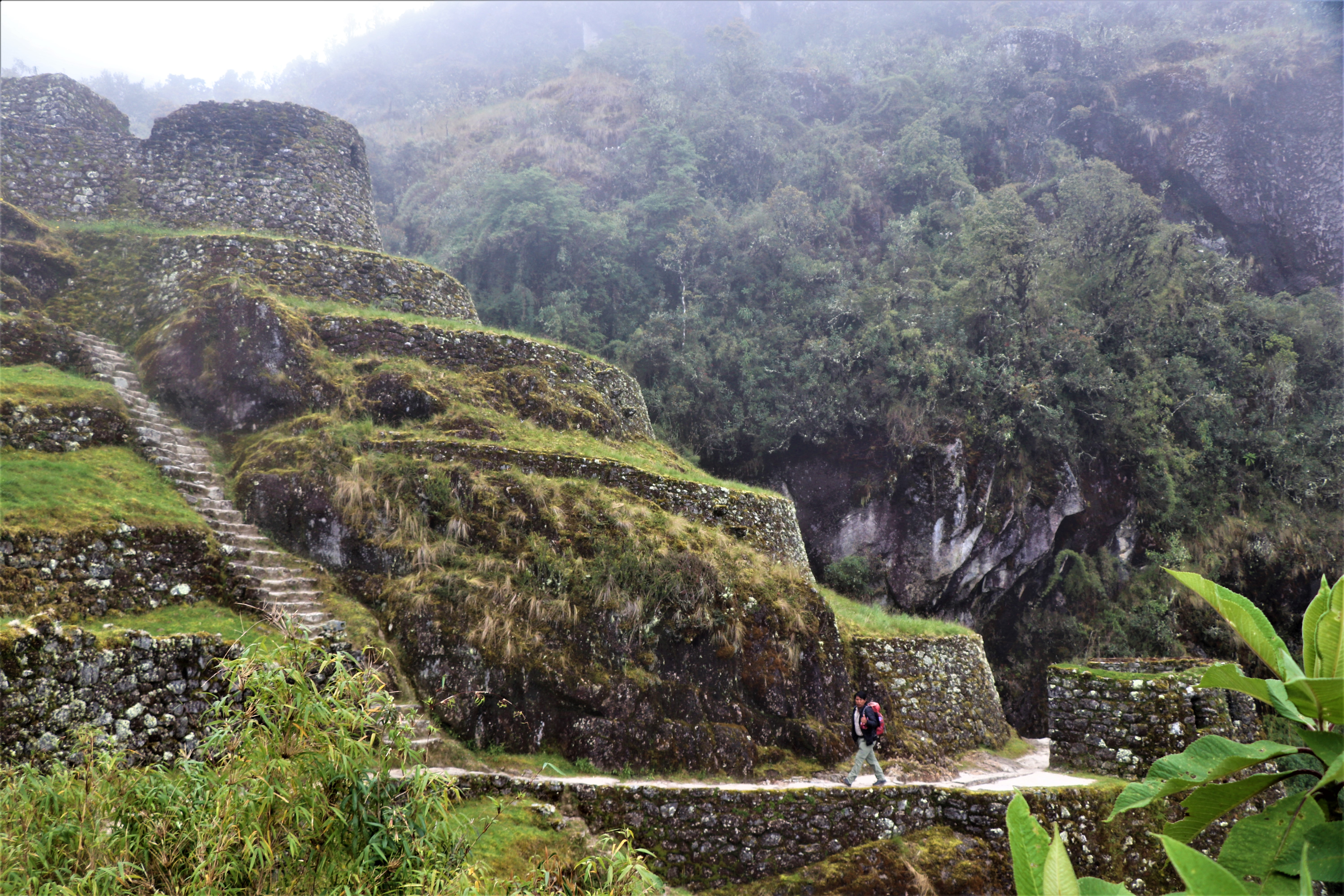 image_4M5BJ3RMK8W8ADHV