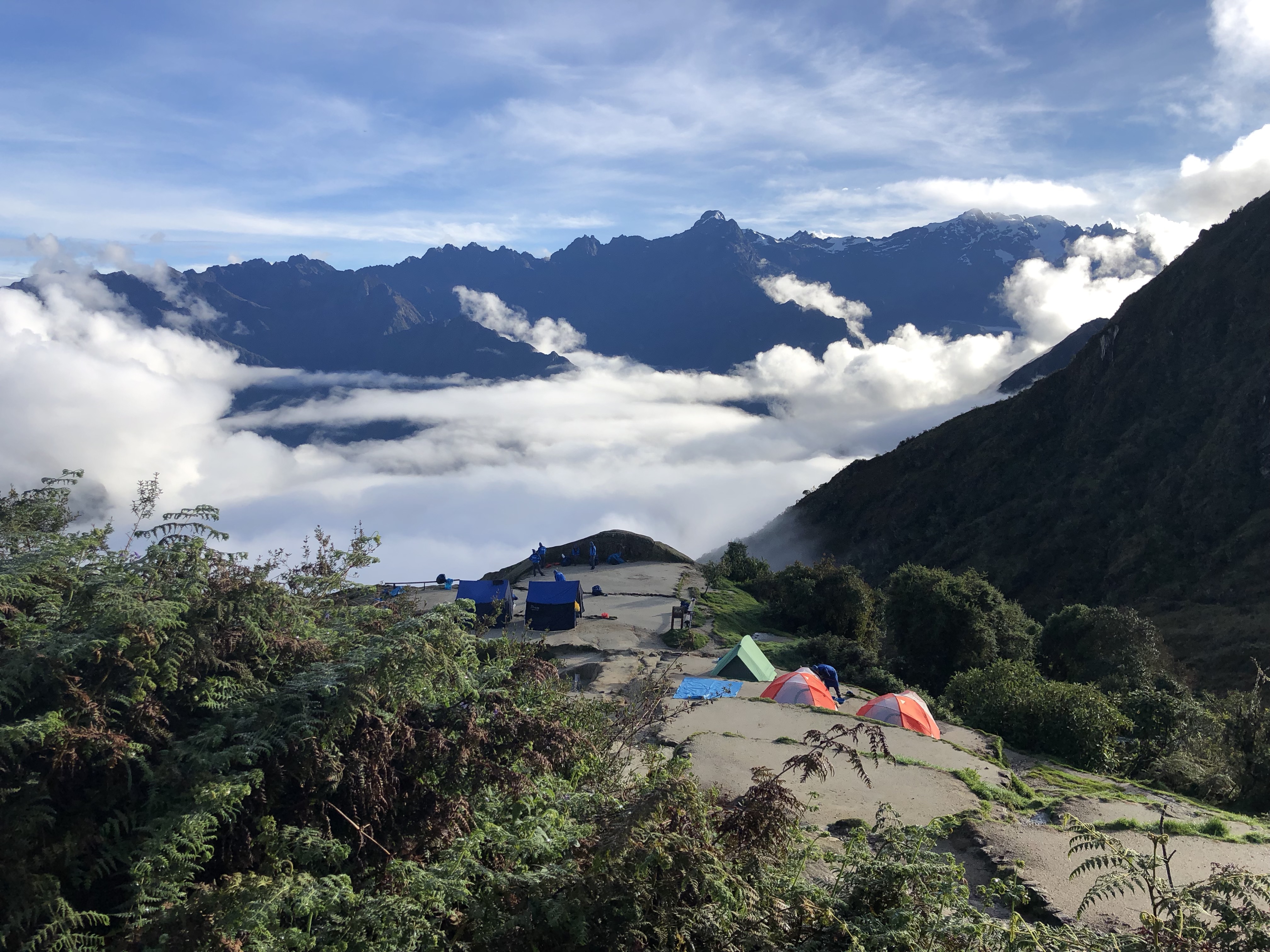 image_RM84GNJZKPLCHAWN