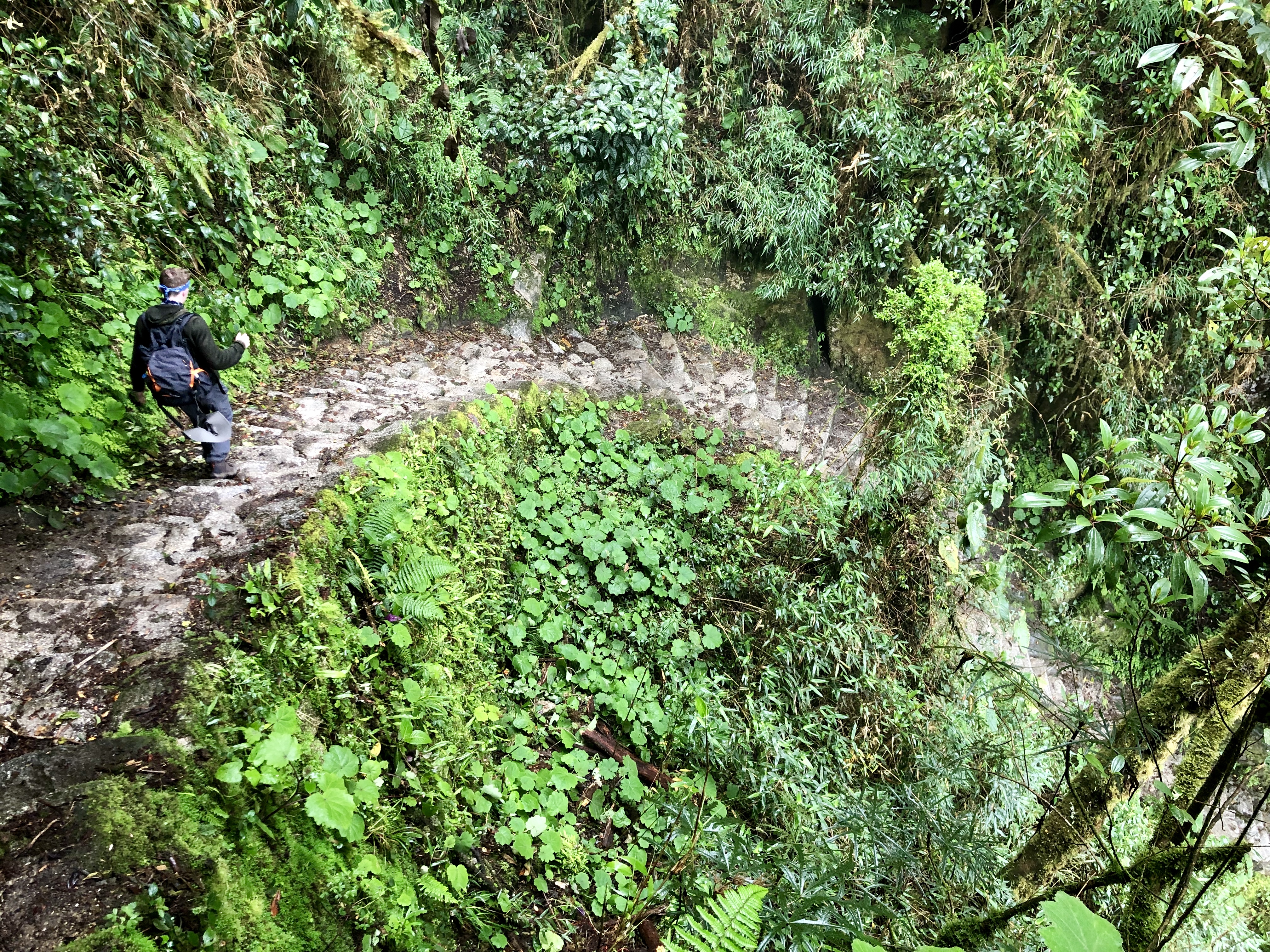 image_BZM3XCTD8C4N9AXM