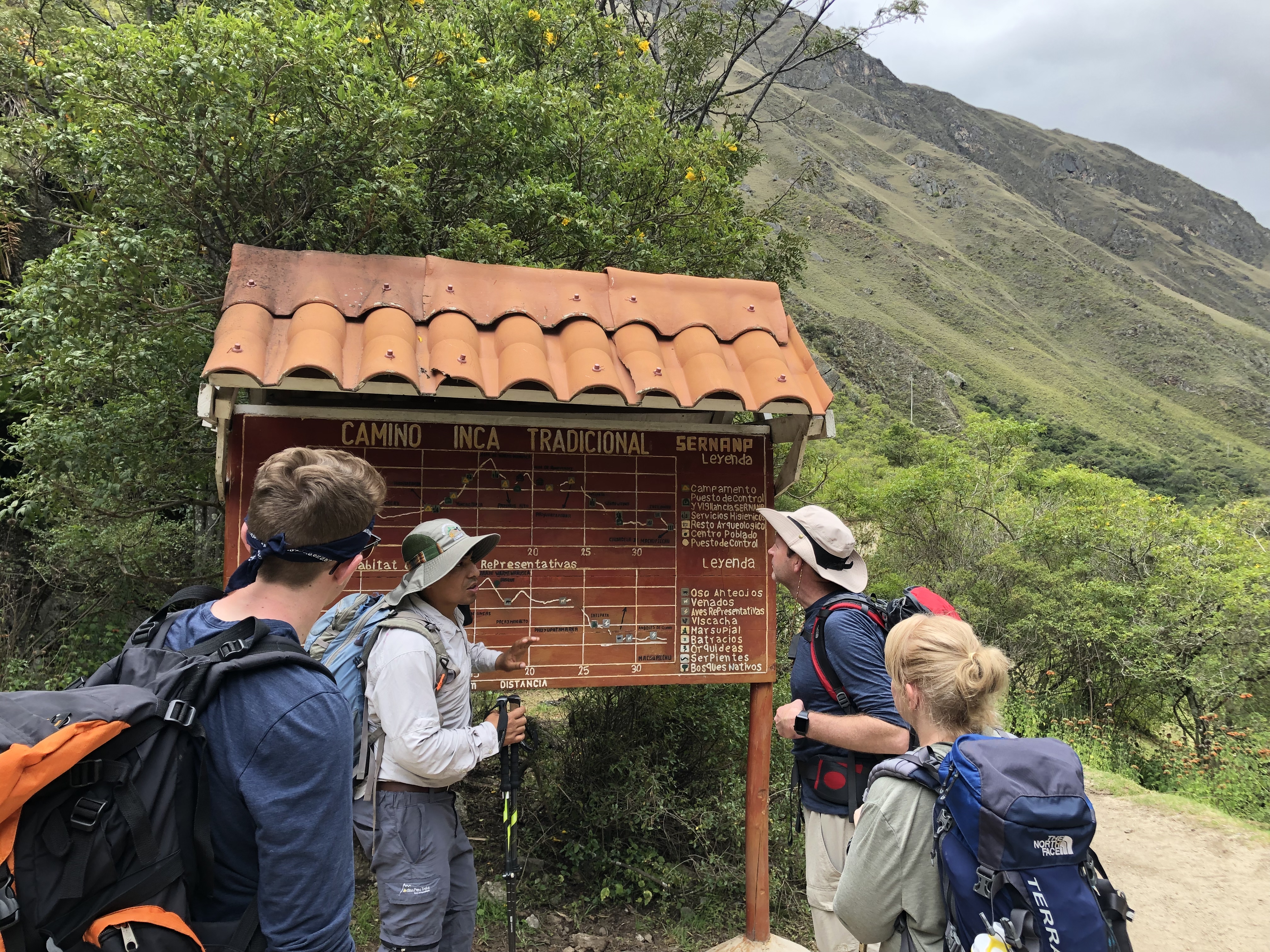 image_N4ZSJQK3JP4U4NU6