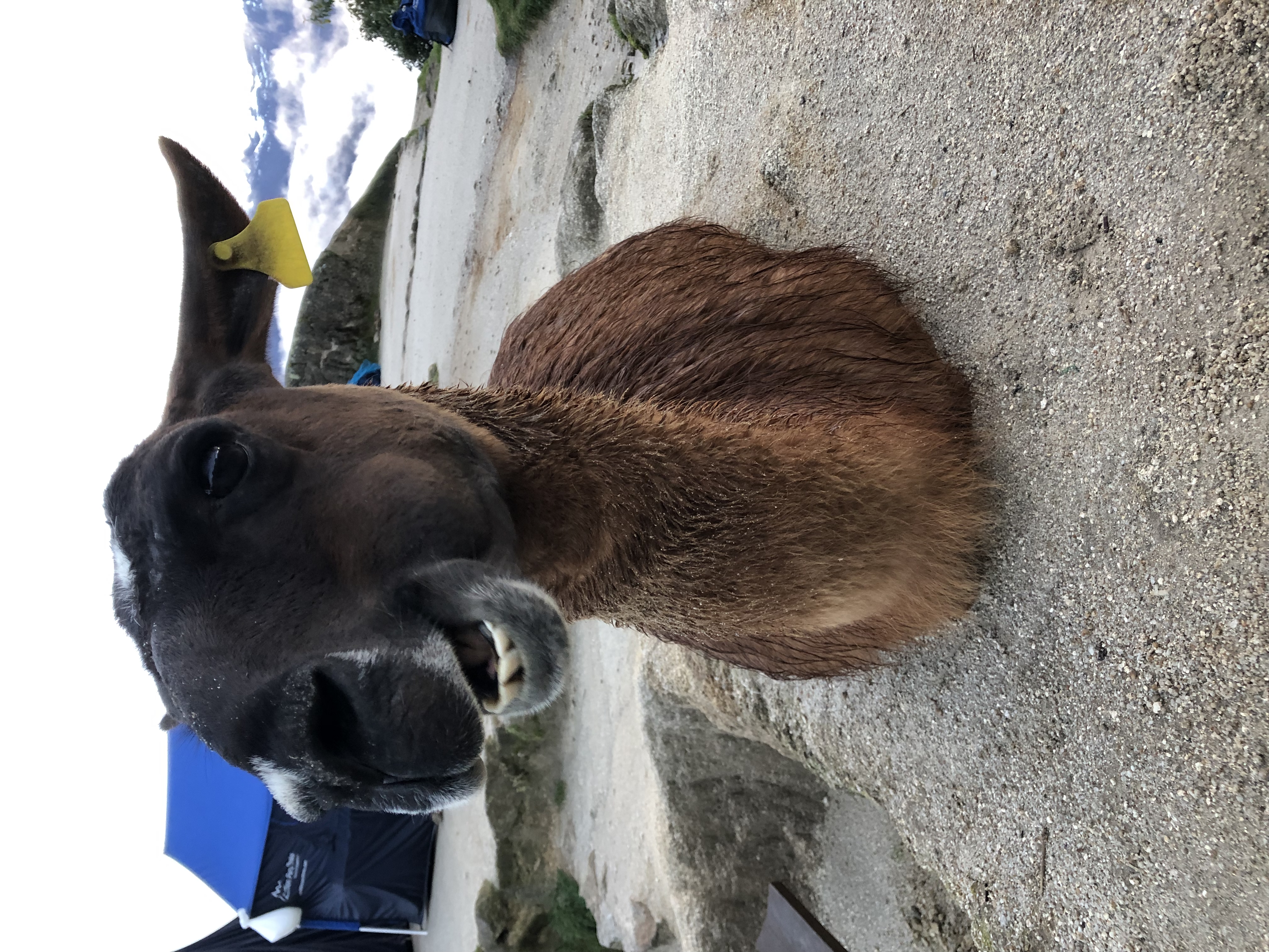 image_U2A6353ZJ7S5EAHN