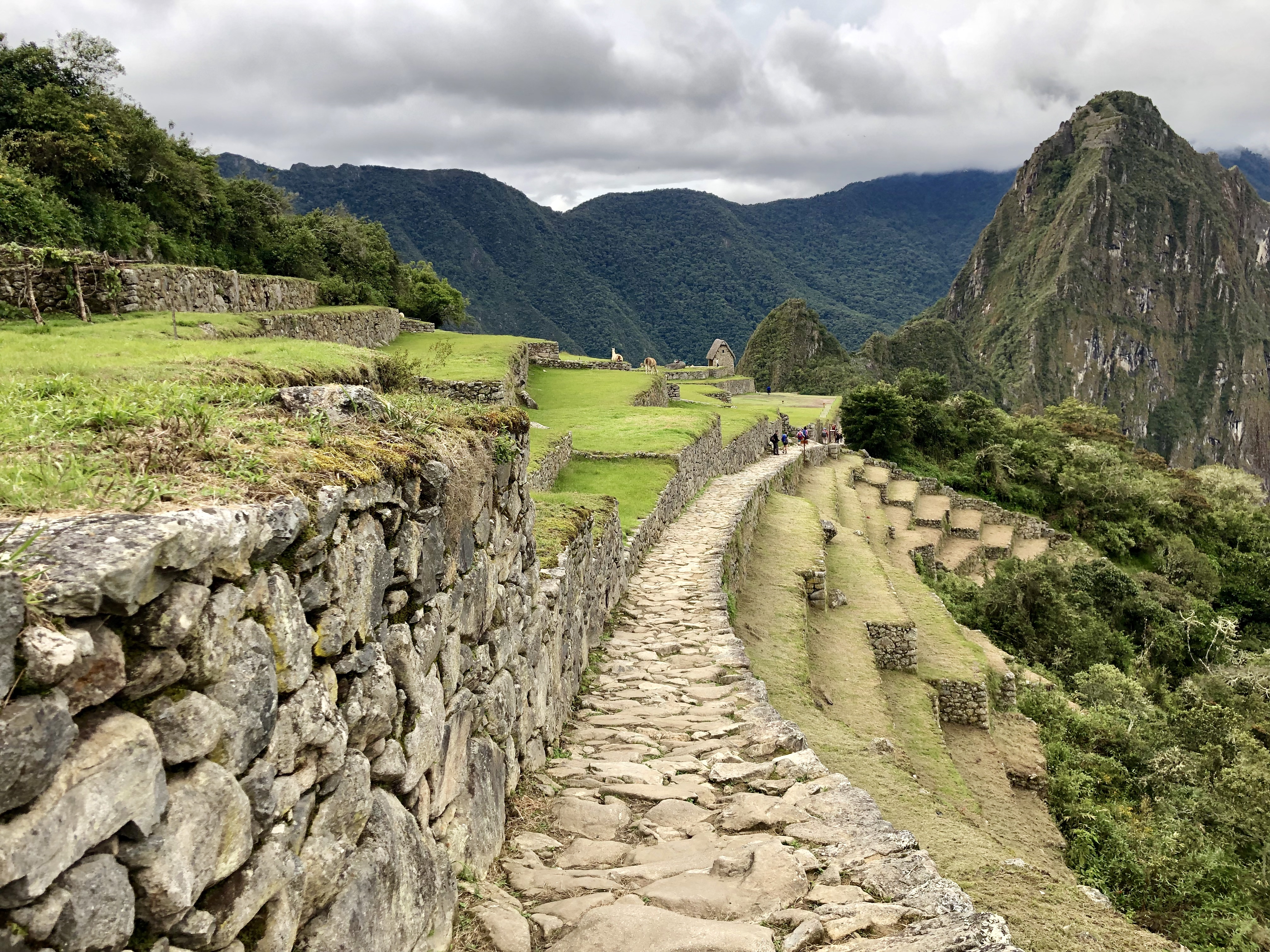 image_3HCUV5M3Z9KAR5QC