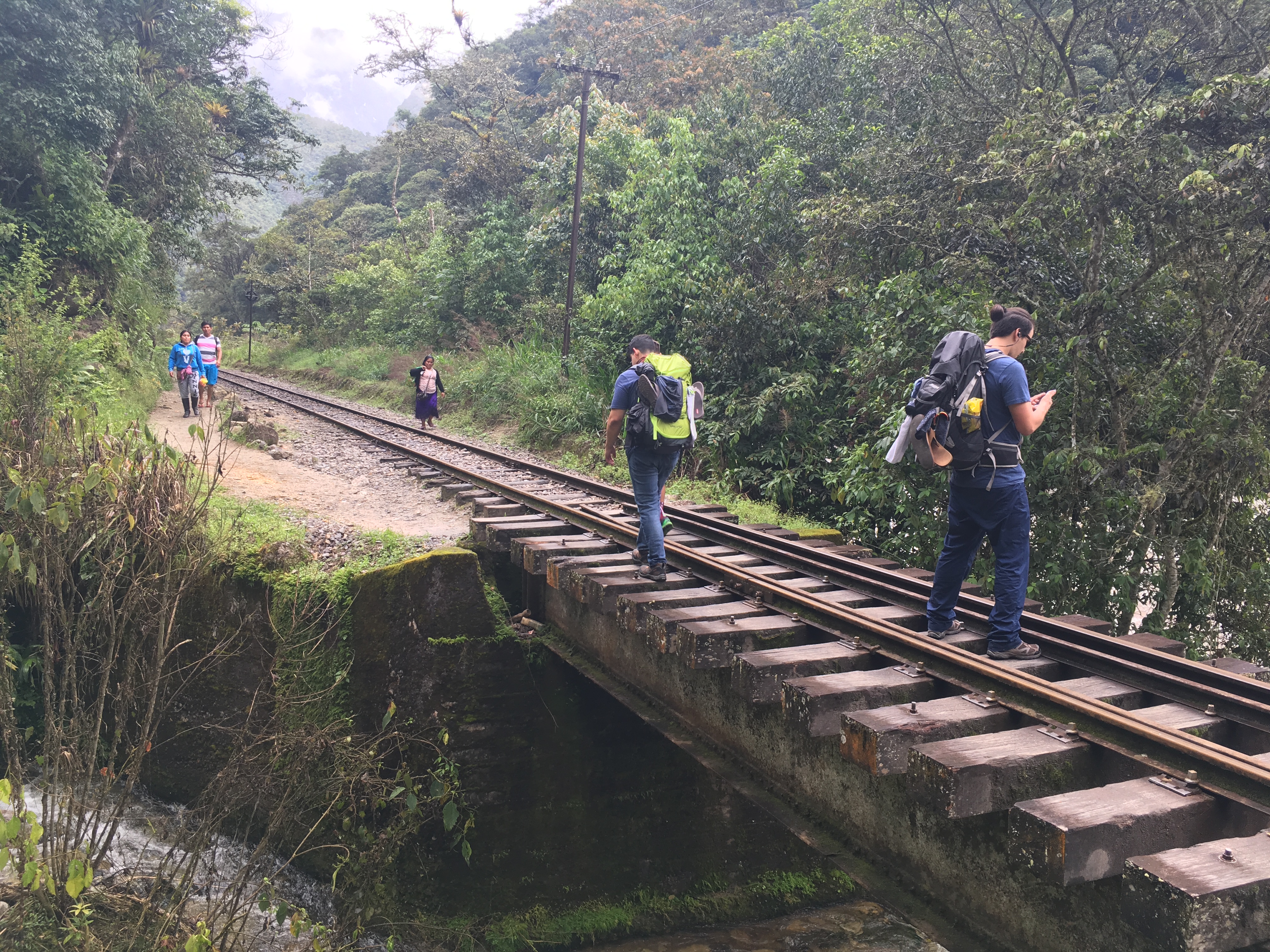 24ac9cd6-dd0c-4a4a-801d-feb9361cd1a1