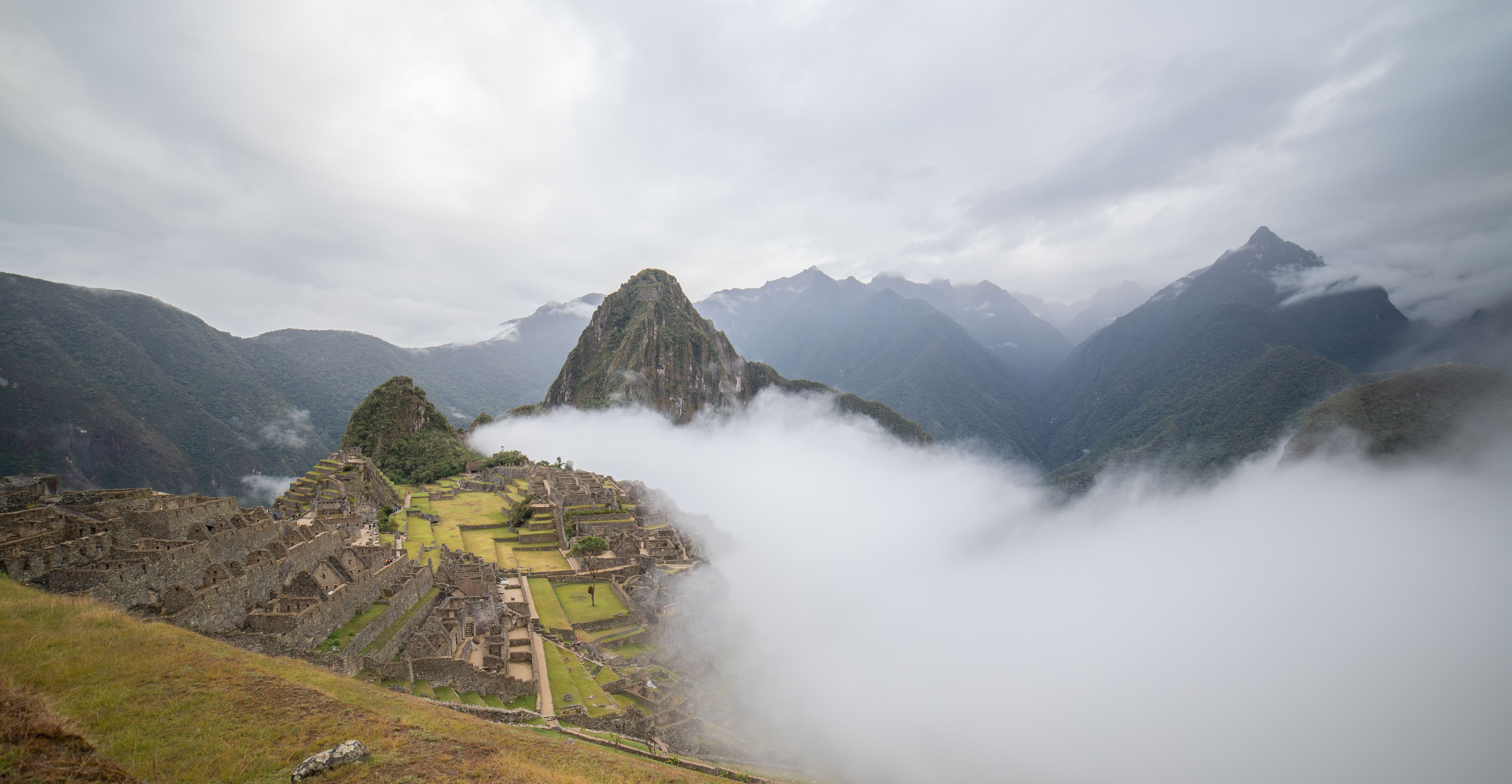 d5926838-8f38-4972-bfbd-021db60542de