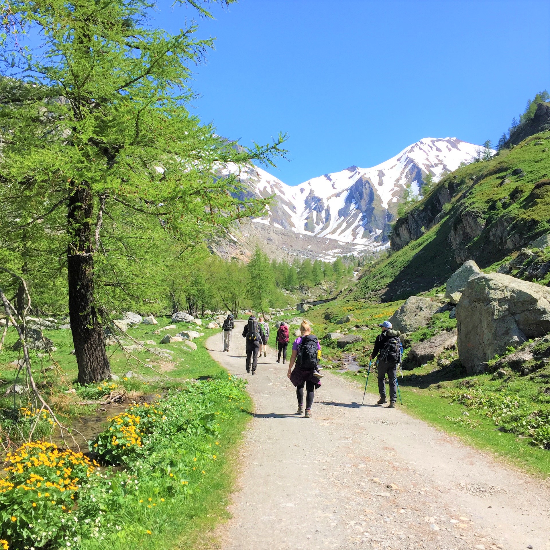 Tour Du Mont Blanc