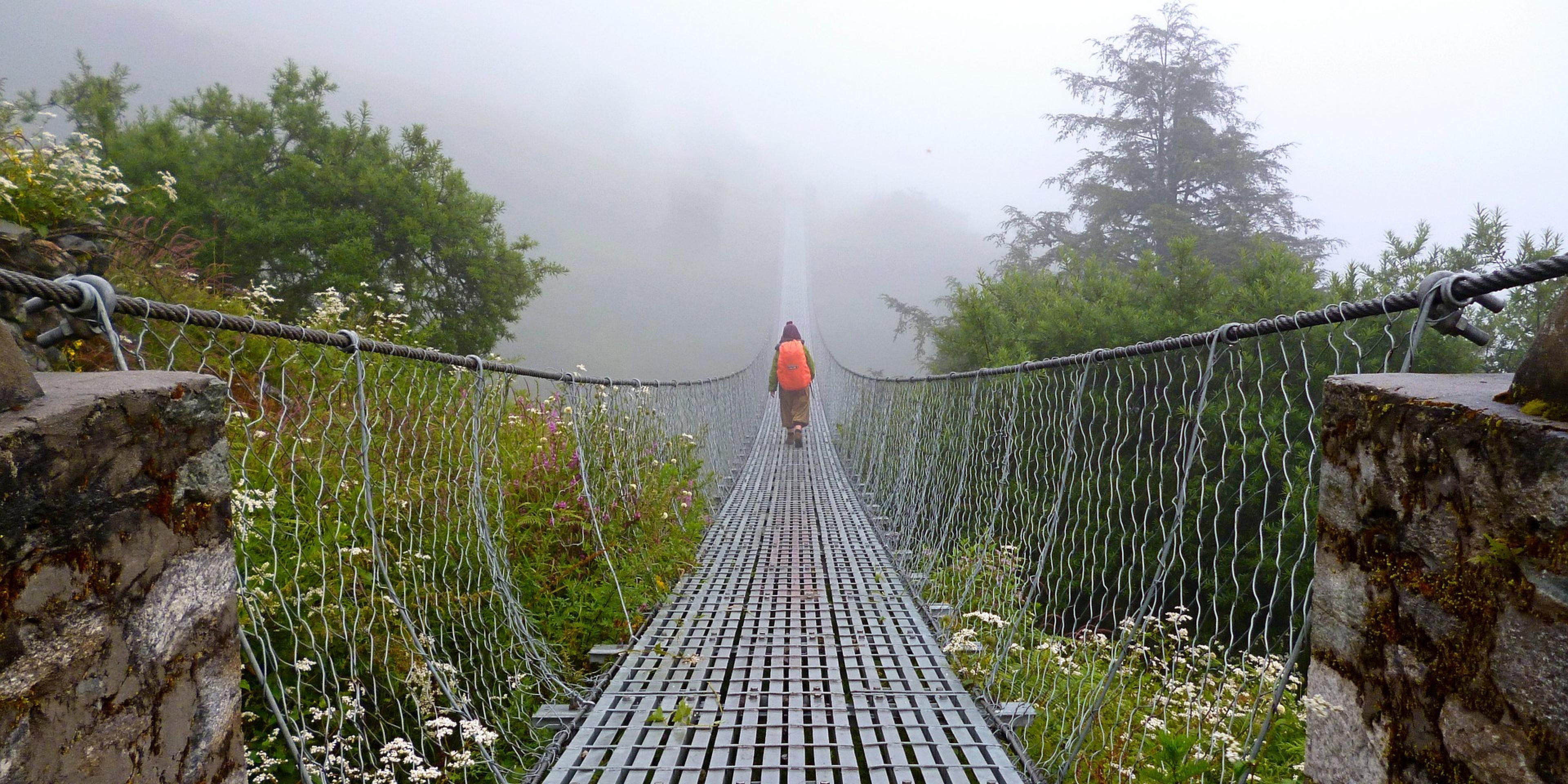 2858e771-704c-45f2-b68a-a2ccf8ca4709