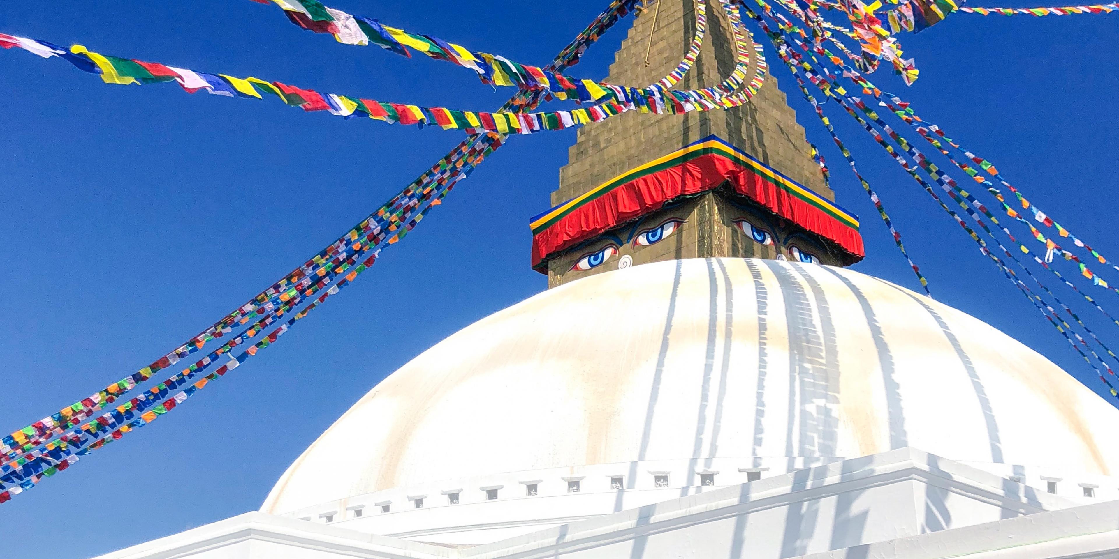 868befe2-b8ce-4084-a42a-e019ff5c8b8d