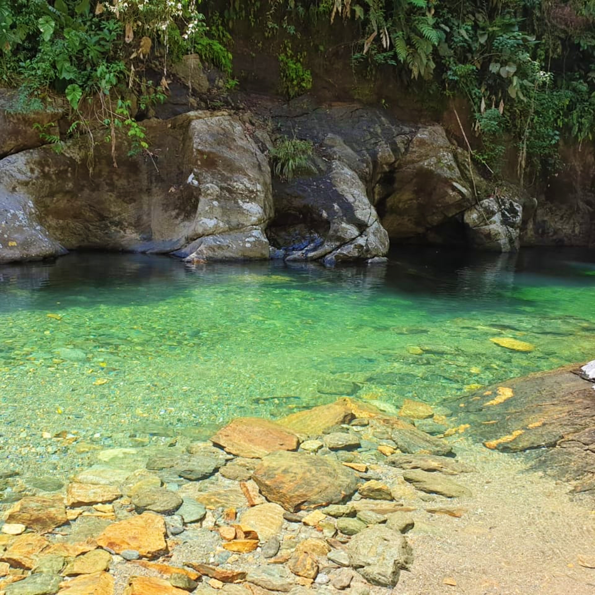 image_62LCVDC57QXH8ZDN